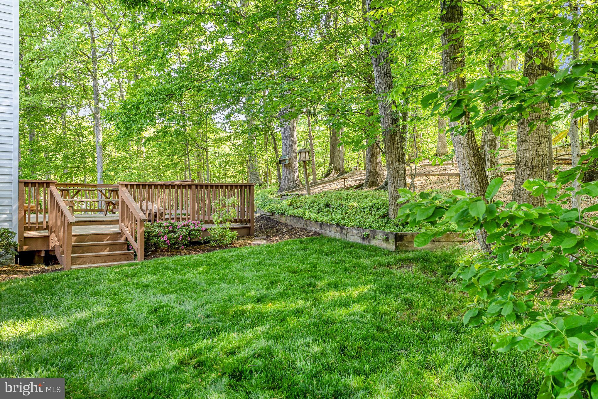 STONE RIVER - Residential