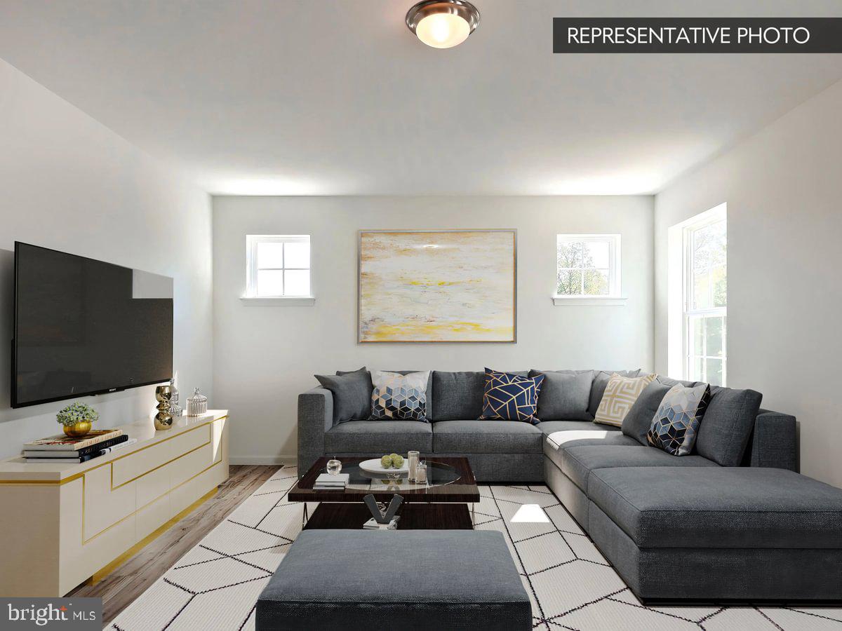 SASSAFRAS PLAN AT THE SEASONS