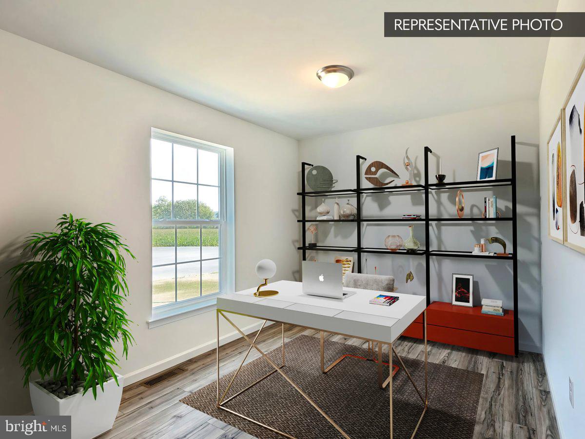 SASSAFRAS PLAN AT THE SEASONS