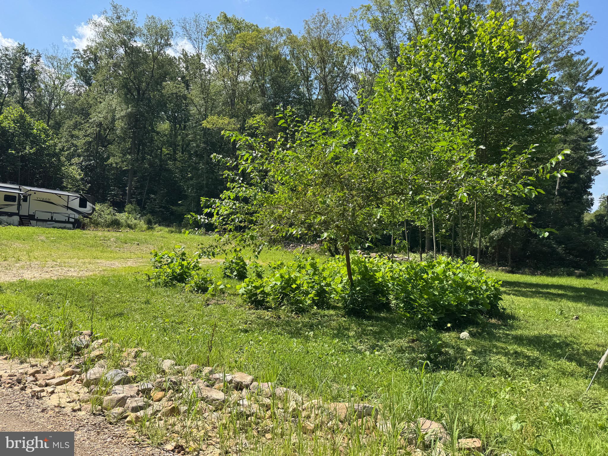 2979 TROUT RUN ROAD