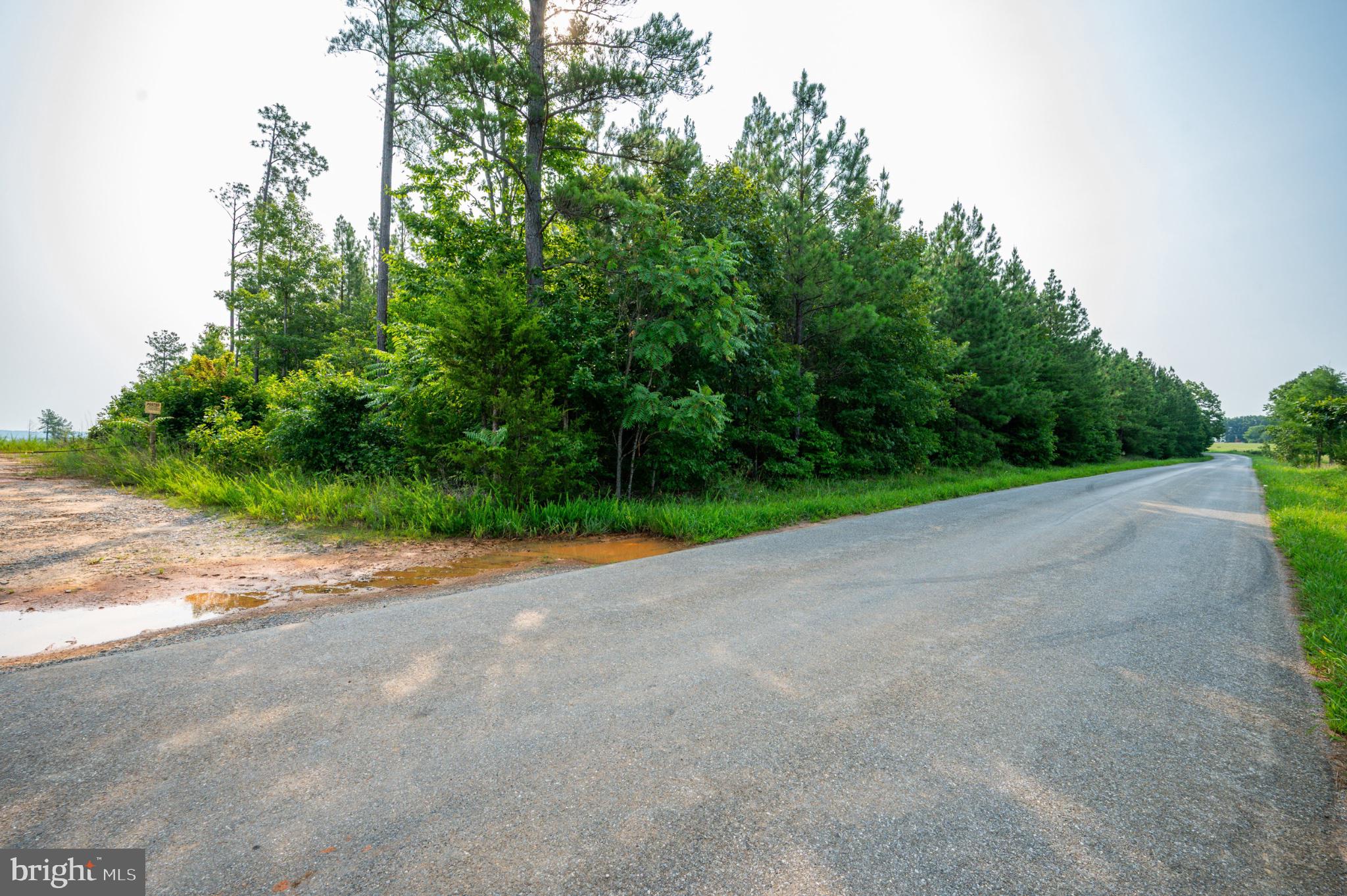 WYATT MILES ROAD
