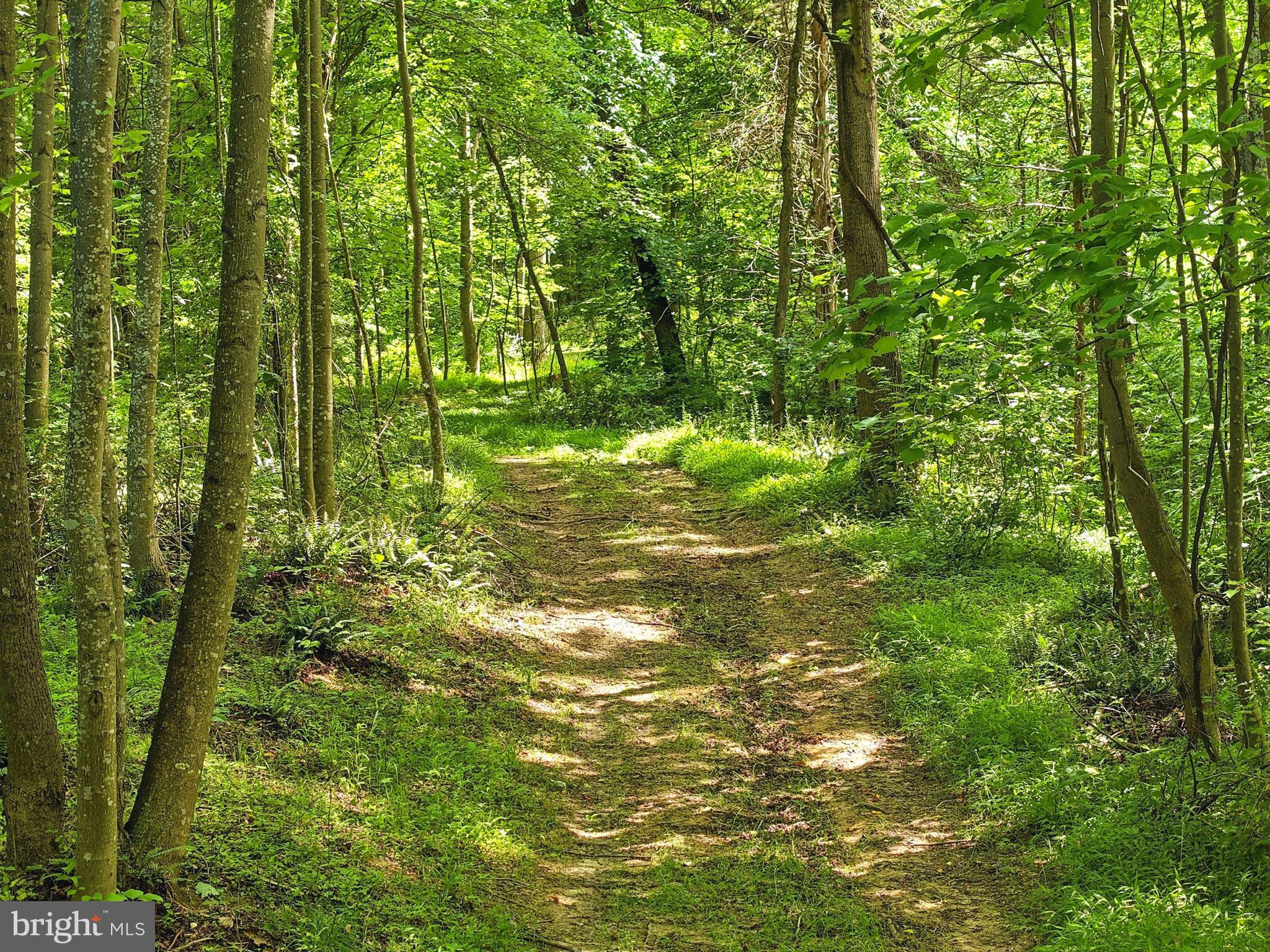 JORDAN HOLLOW RD