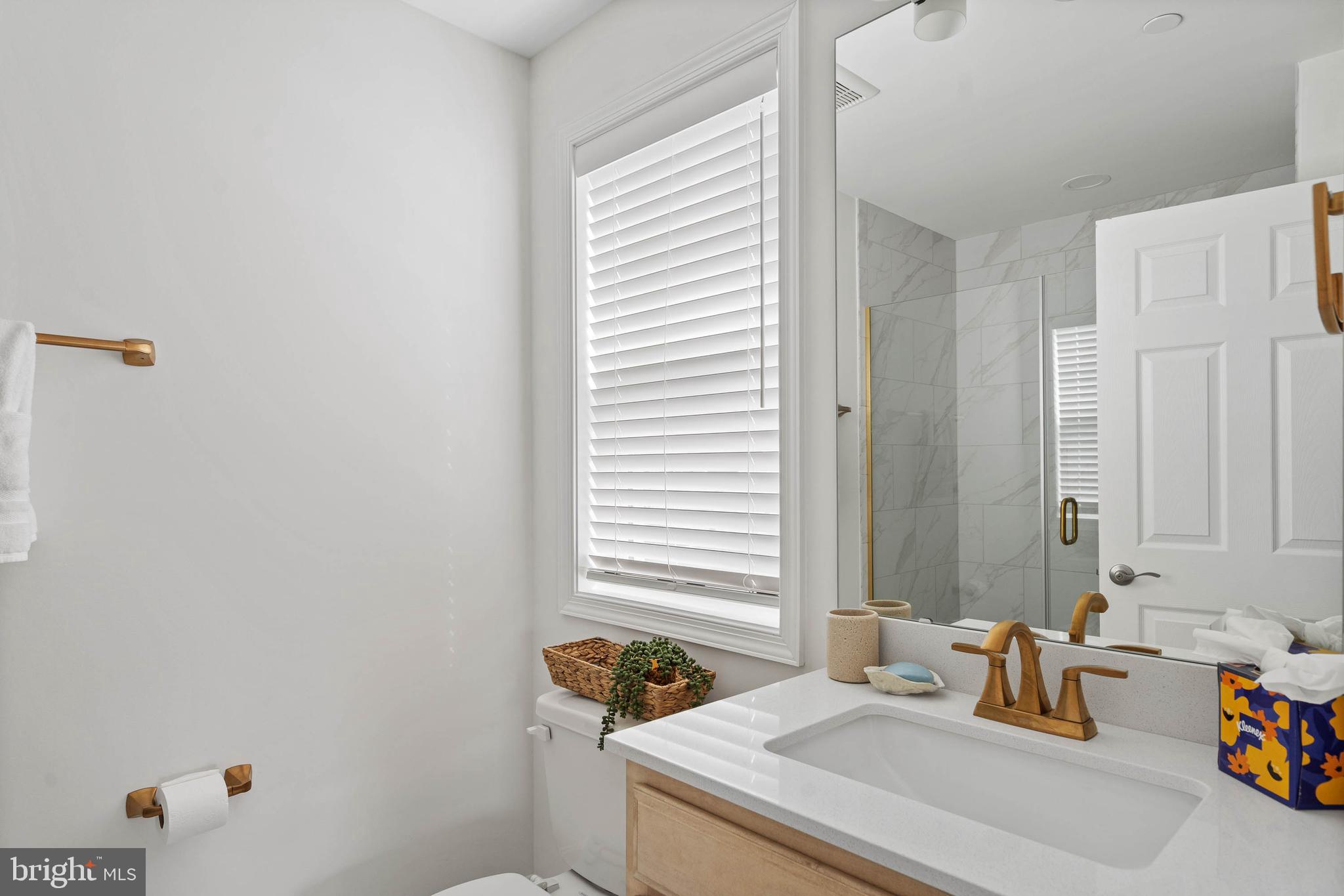 OLDE TOWN - Residential