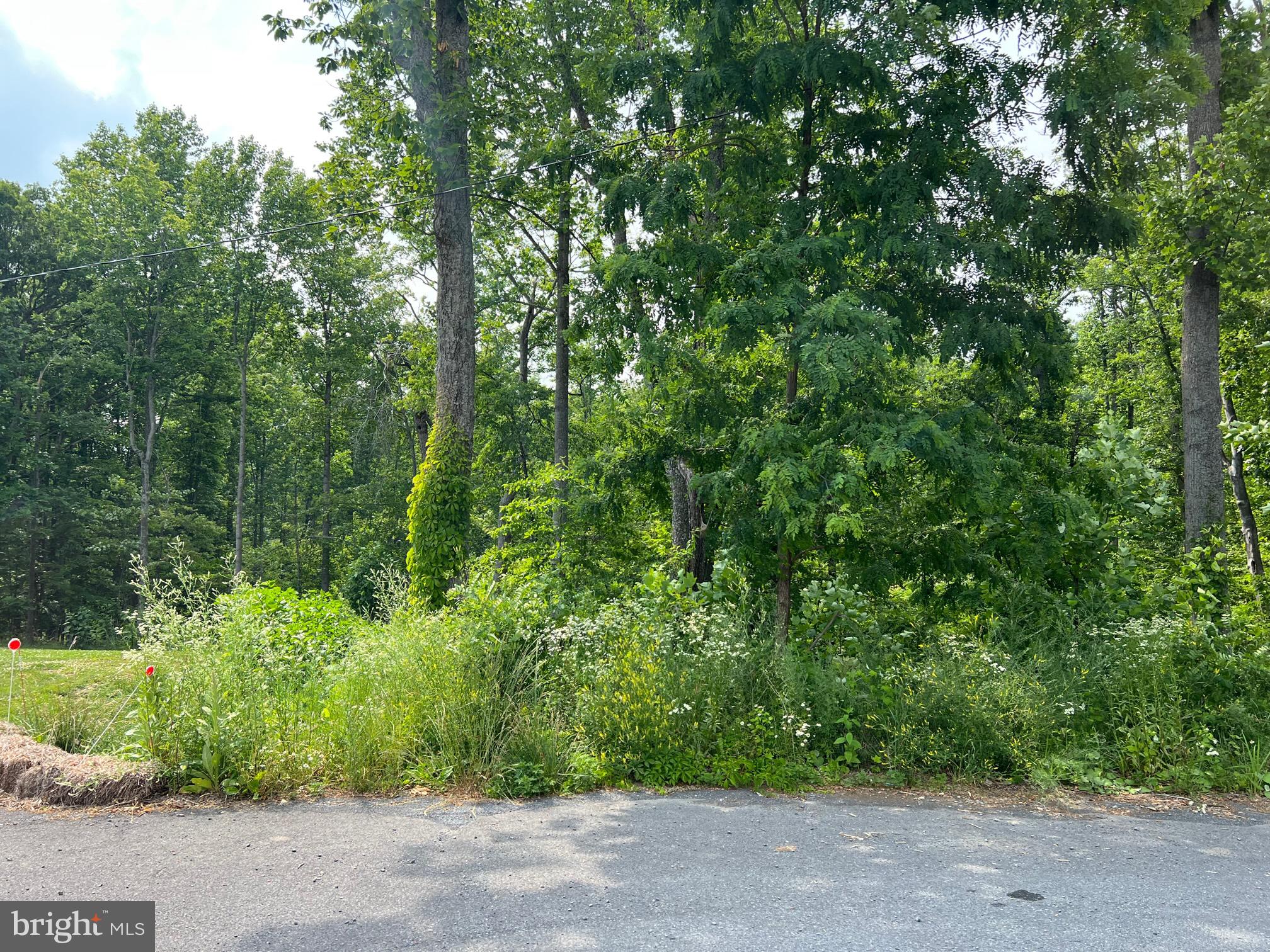 HAMPSHIRE HOUSE ESTATES - Land