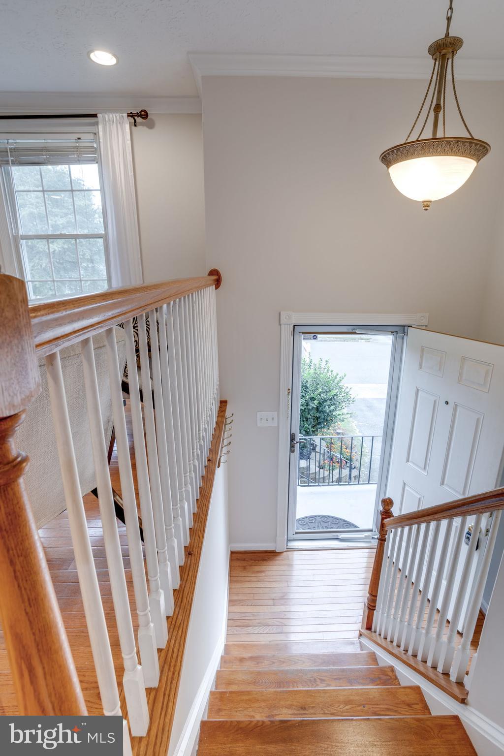 CARDINAL ESTATES - Residential