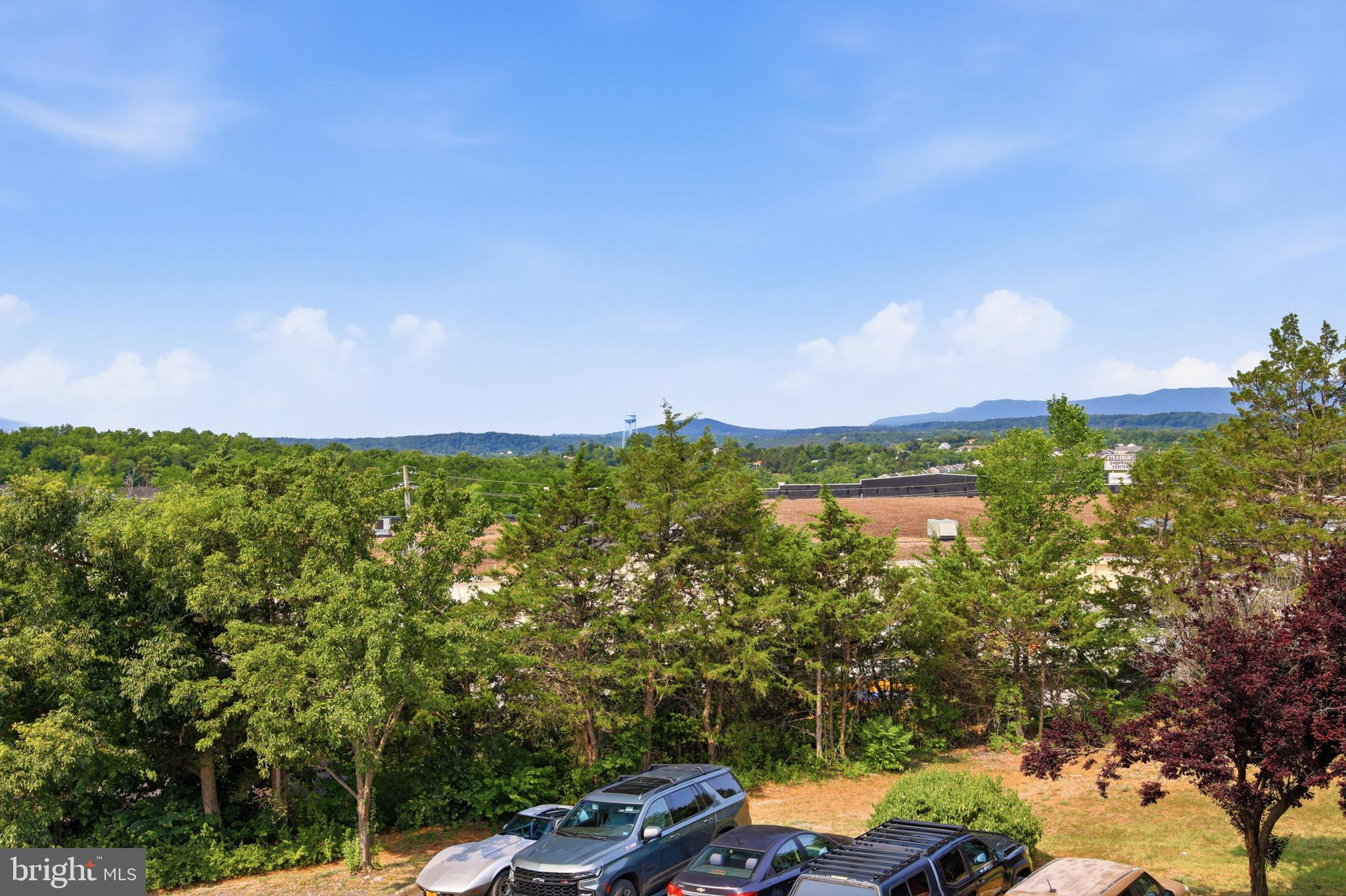 245 BRANDY COURT K9