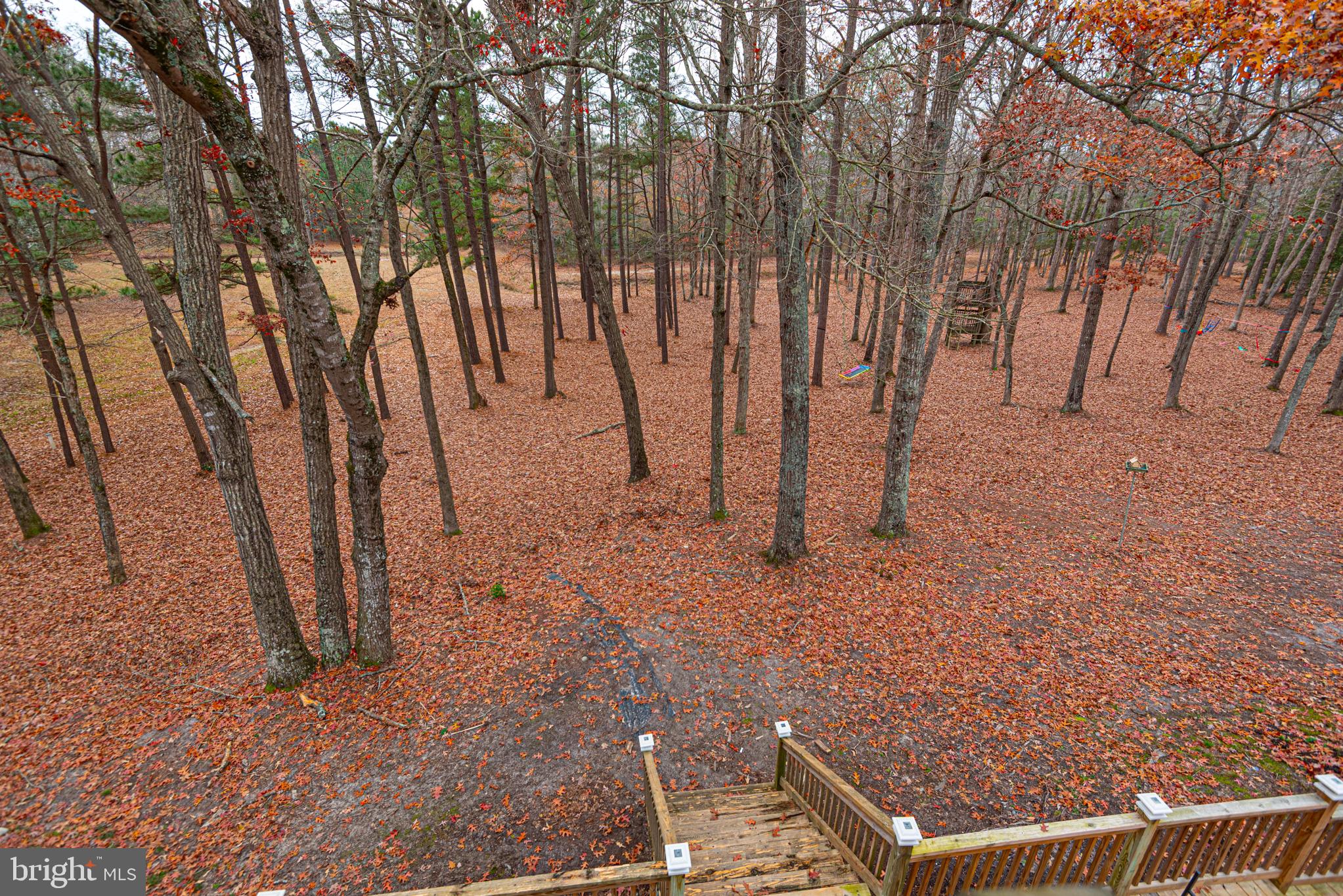 FOXCHASE - Residential