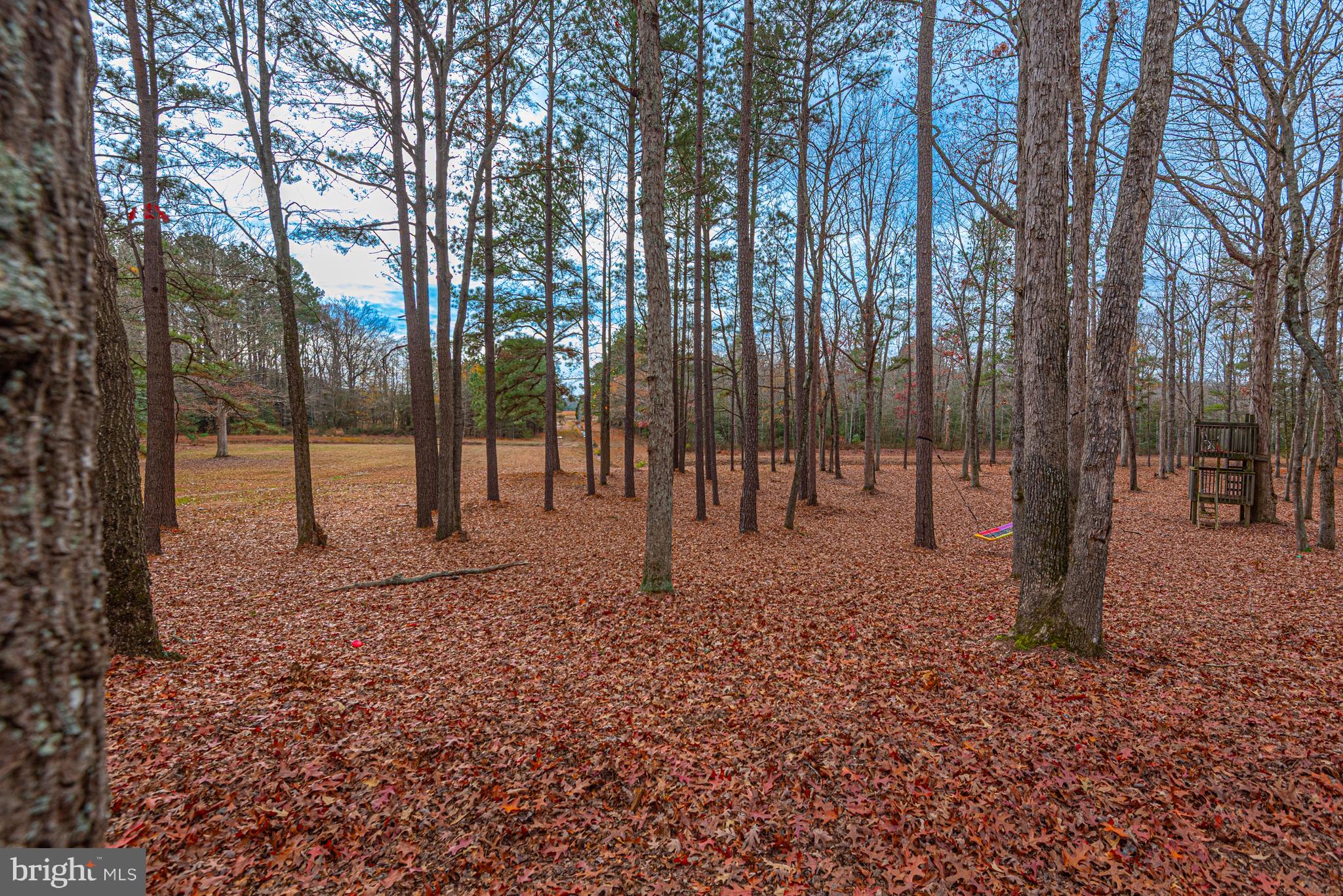 FOXCHASE - Residential