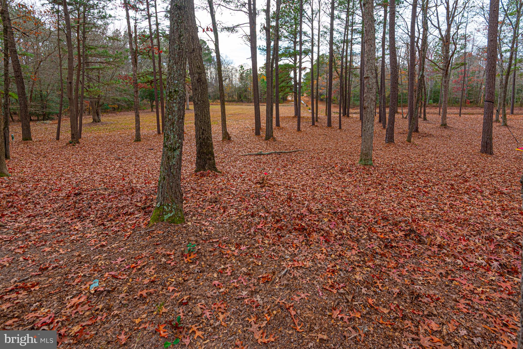 FOXCHASE - Residential