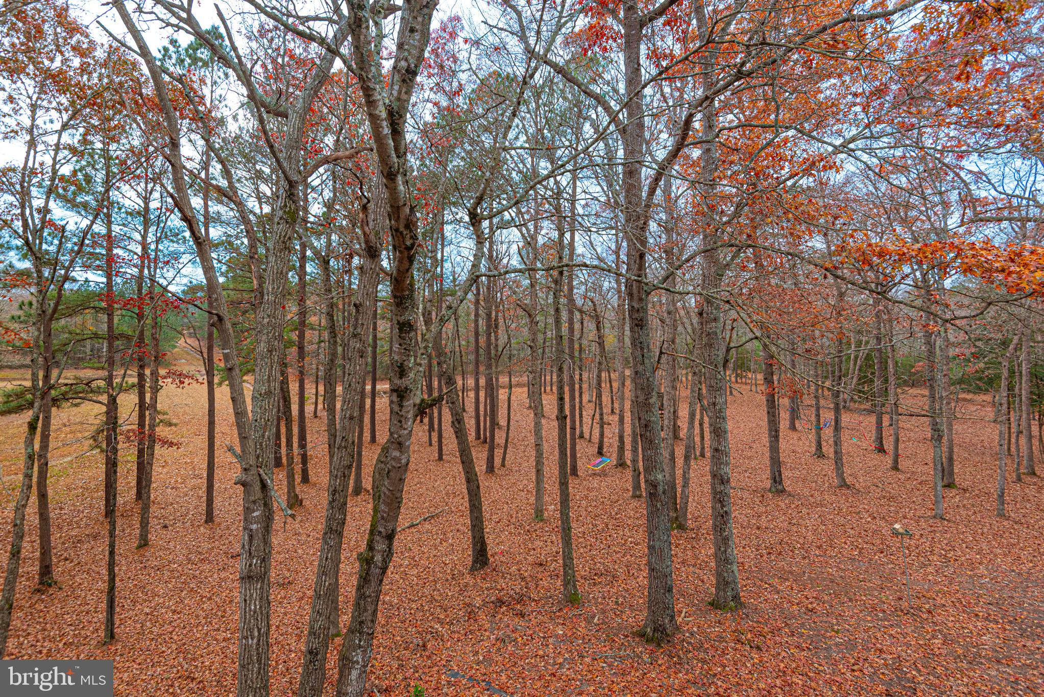 FOXCHASE - Residential