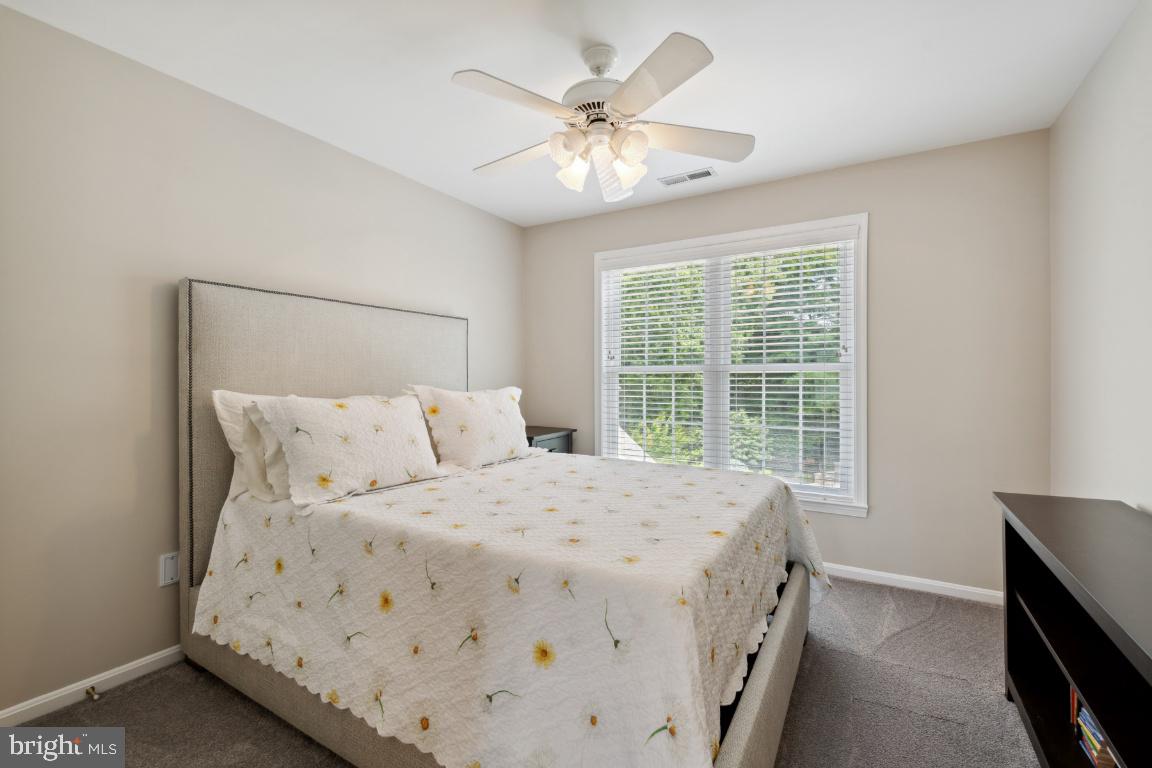 GLYNDON MEADOWS - Residential