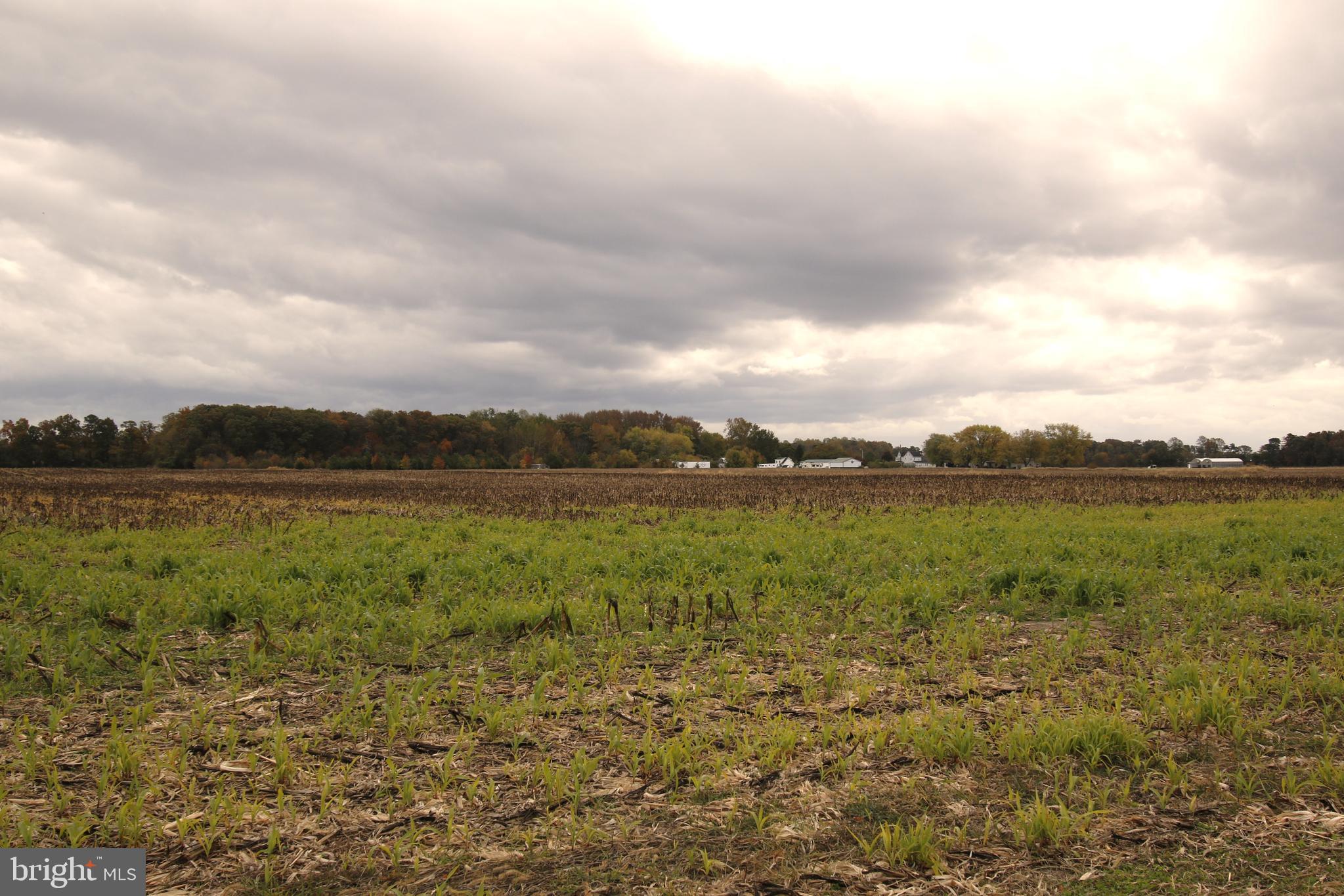 7685 N UNION CHURCH RD