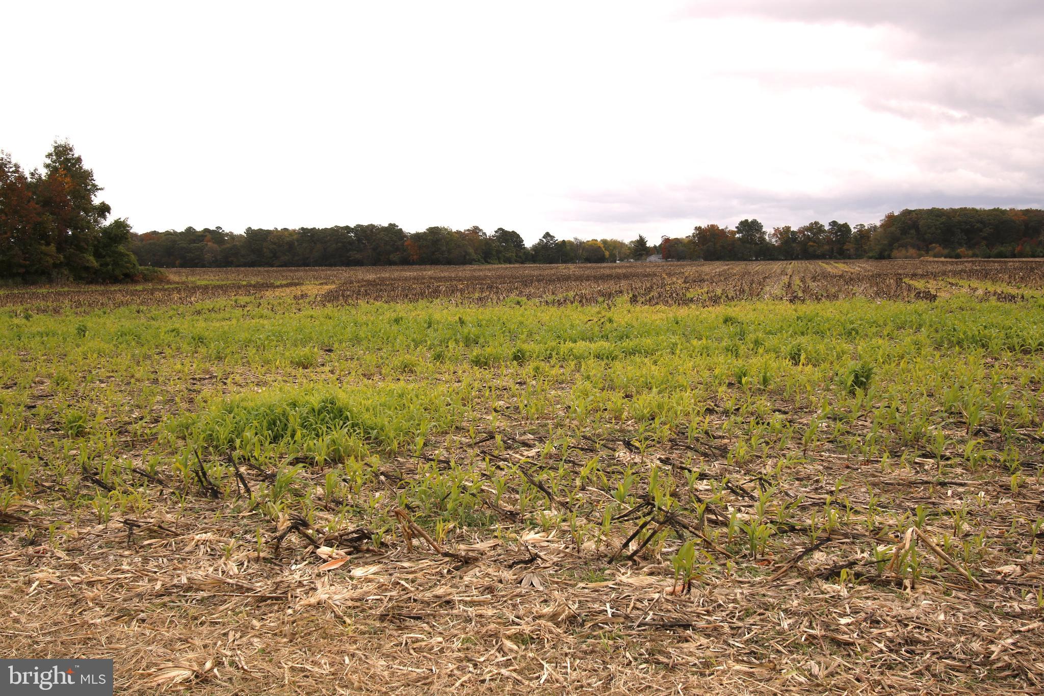 7685 N UNION CHURCH RD