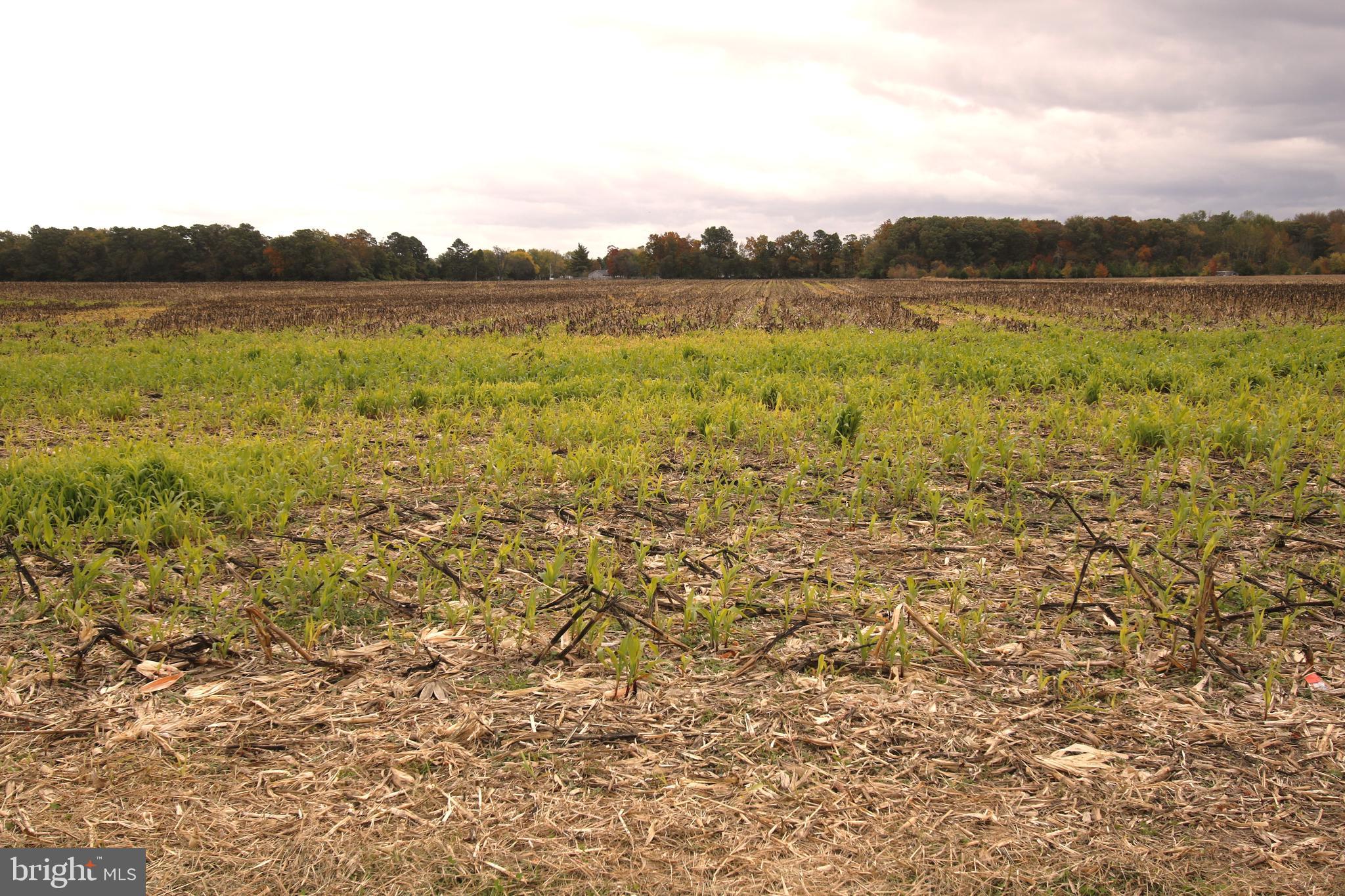 7685 N UNION CHURCH RD