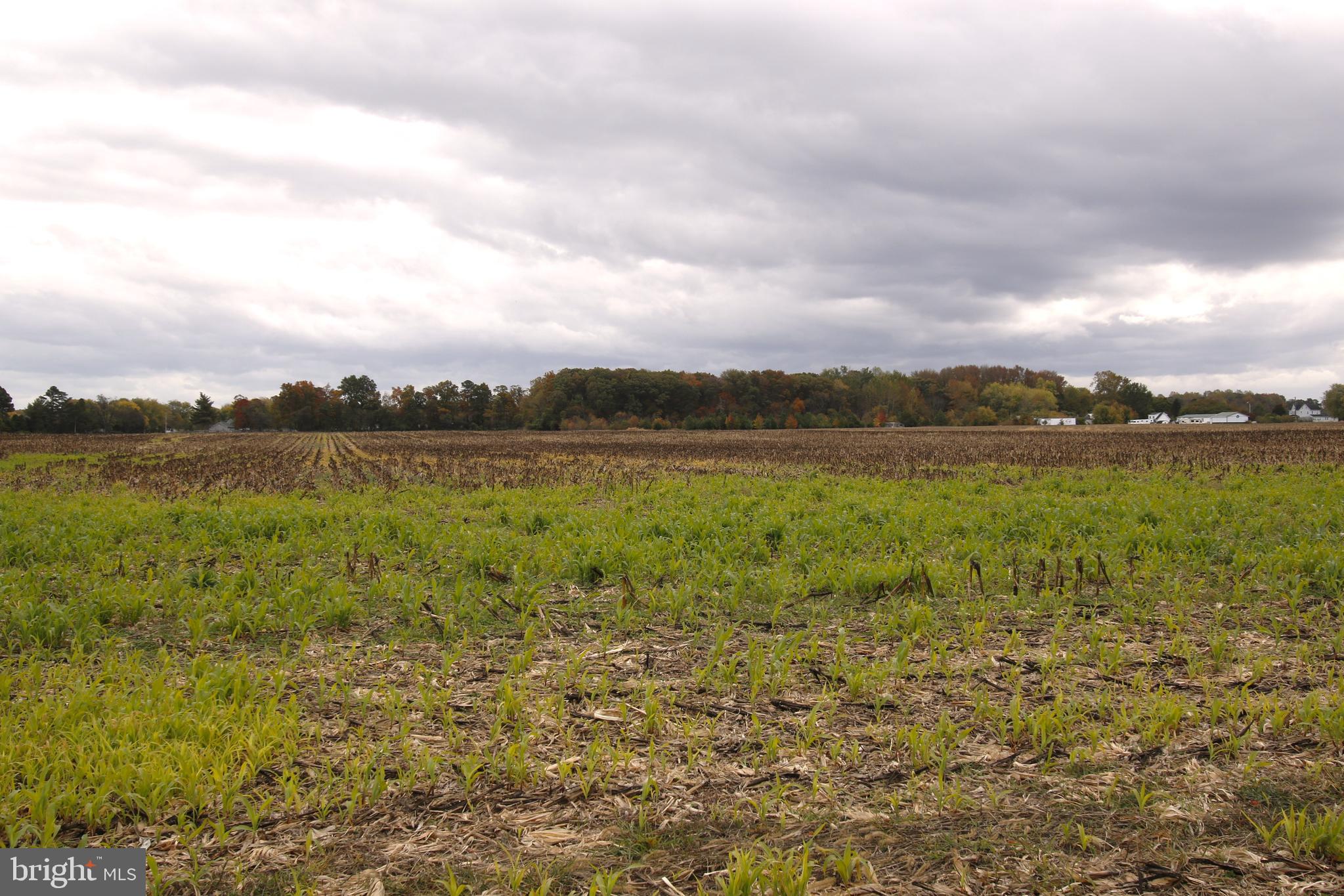 7685 N UNION CHURCH RD