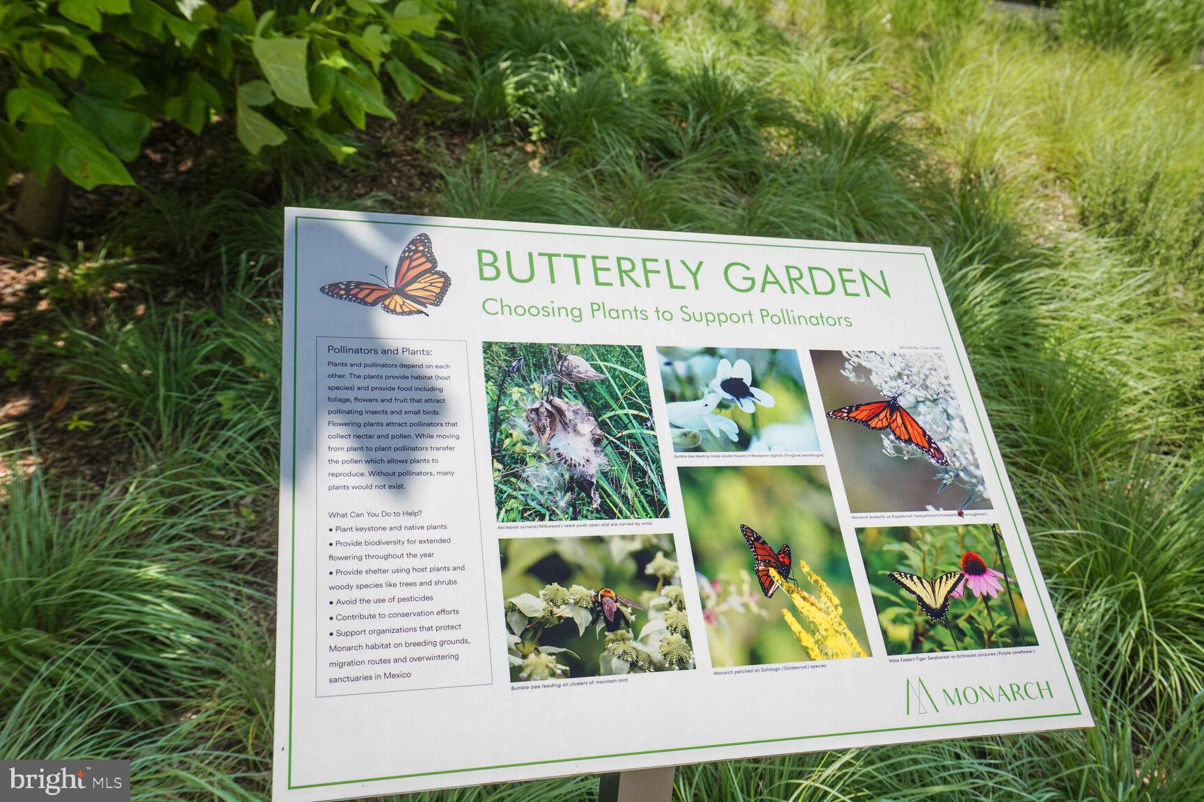 TYSONS CORNER - Residential Lease