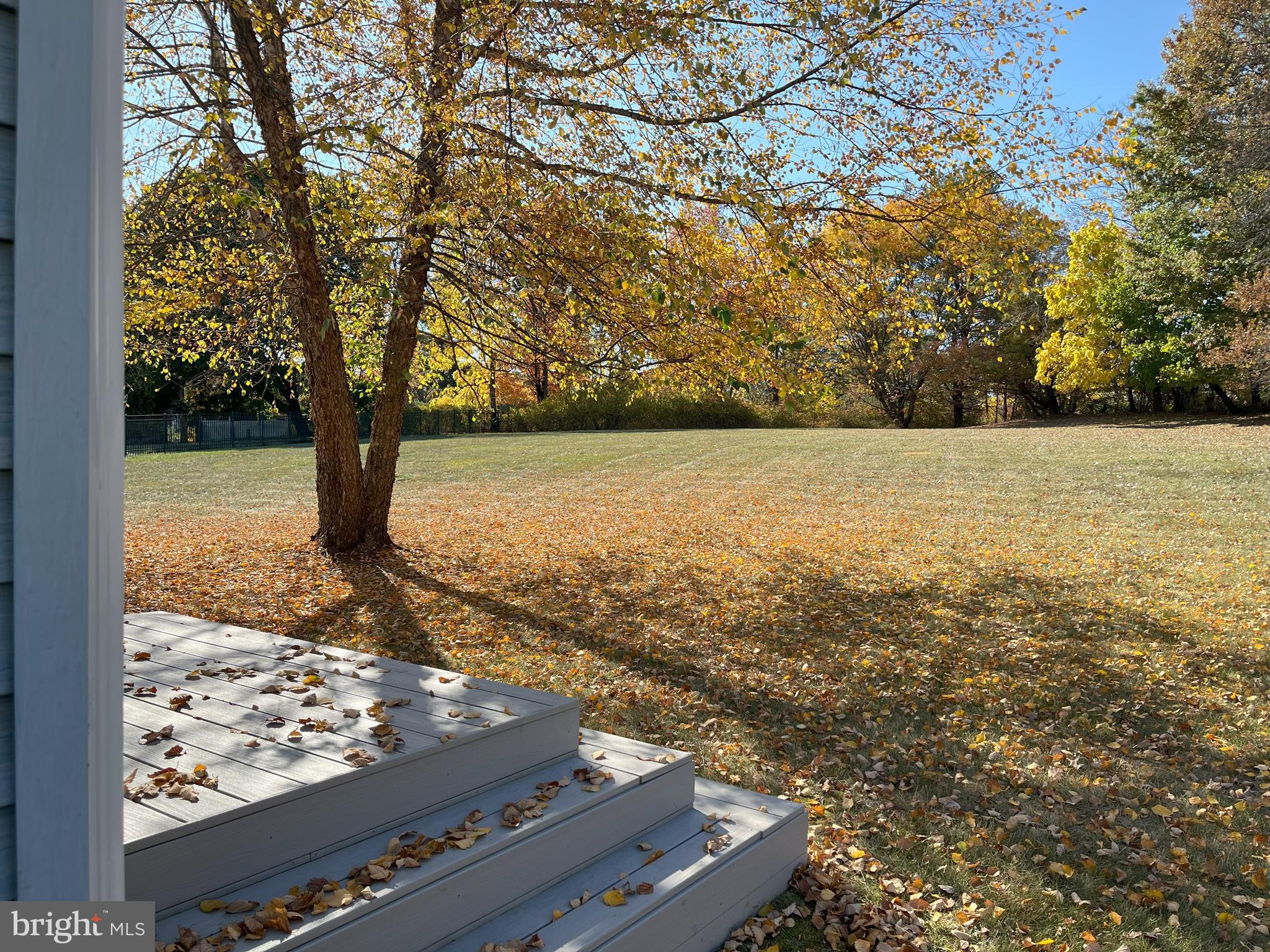 WINDROSE - Residential