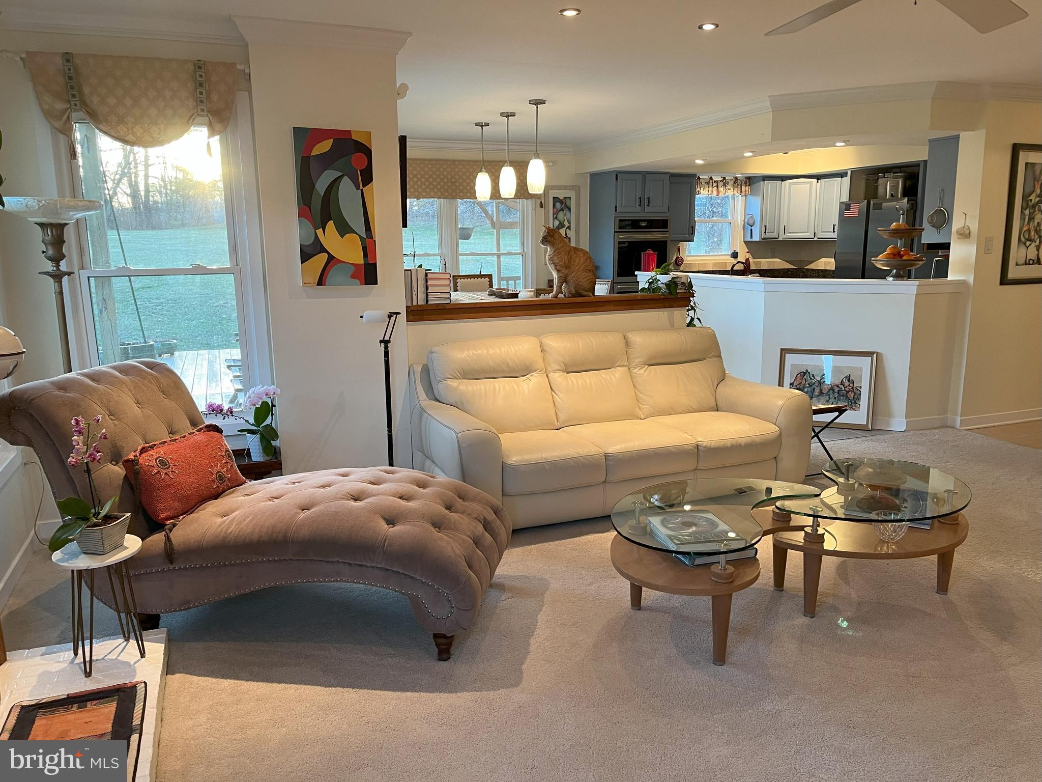 WINDROSE - Residential