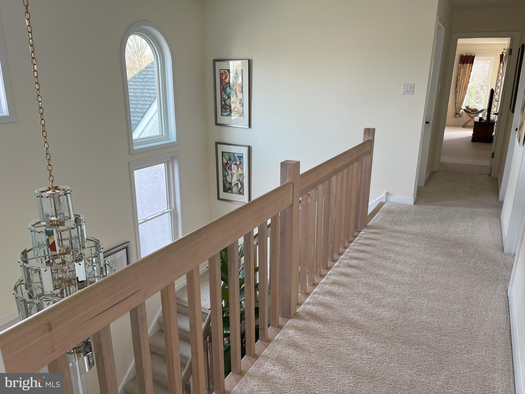 WINDROSE - Residential