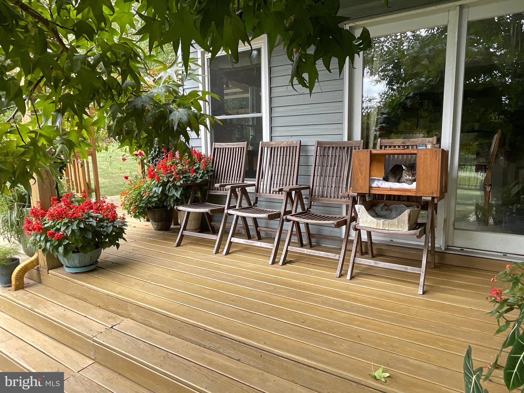 WINDROSE - Residential