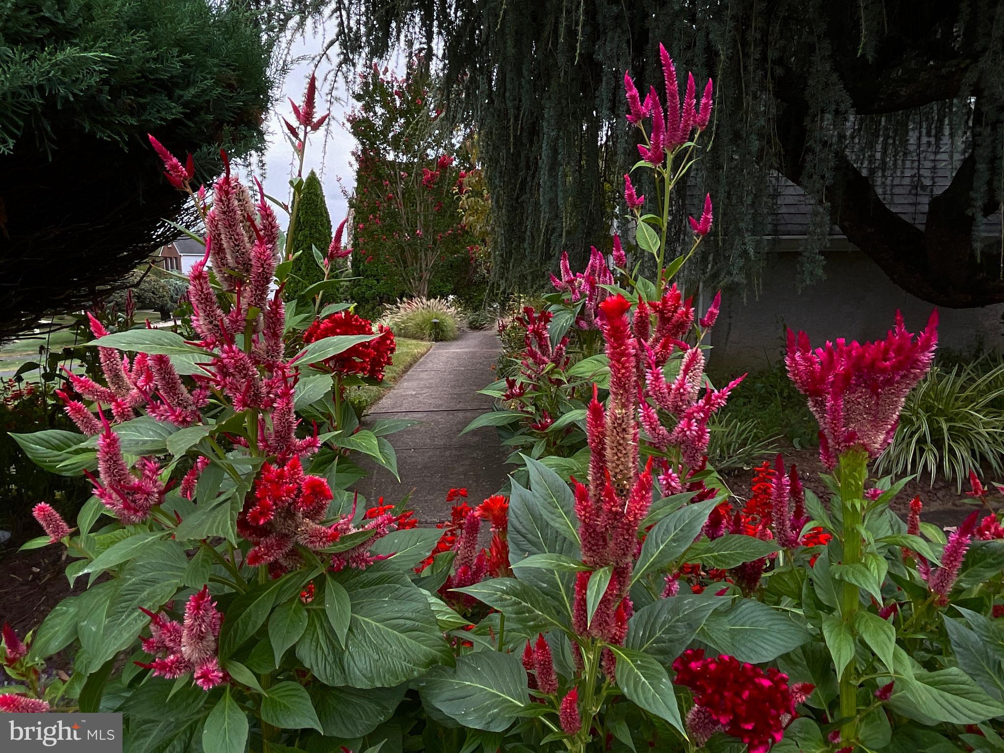 WINDROSE - Residential