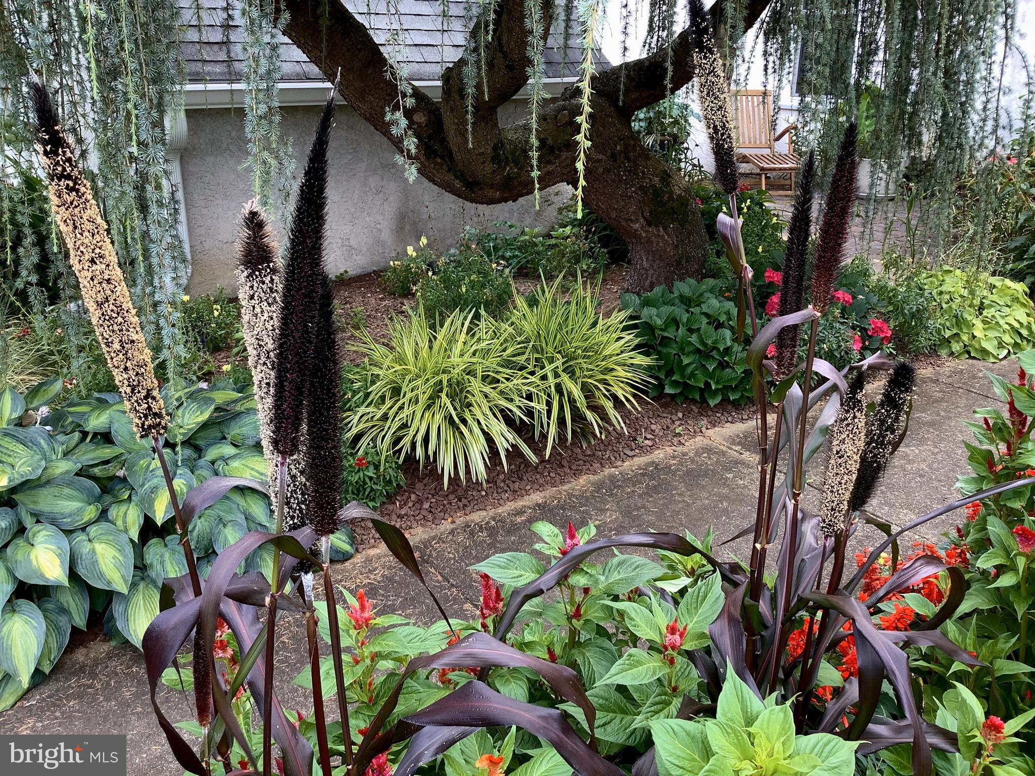 WINDROSE - Residential