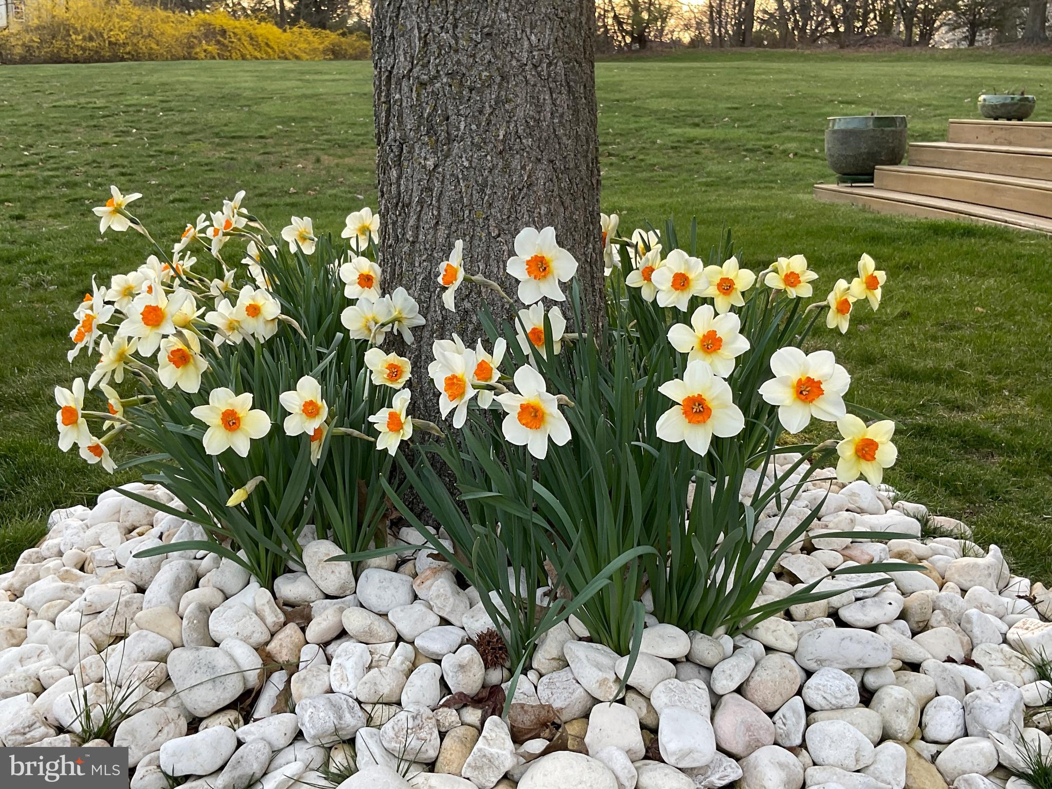 WINDROSE - Residential