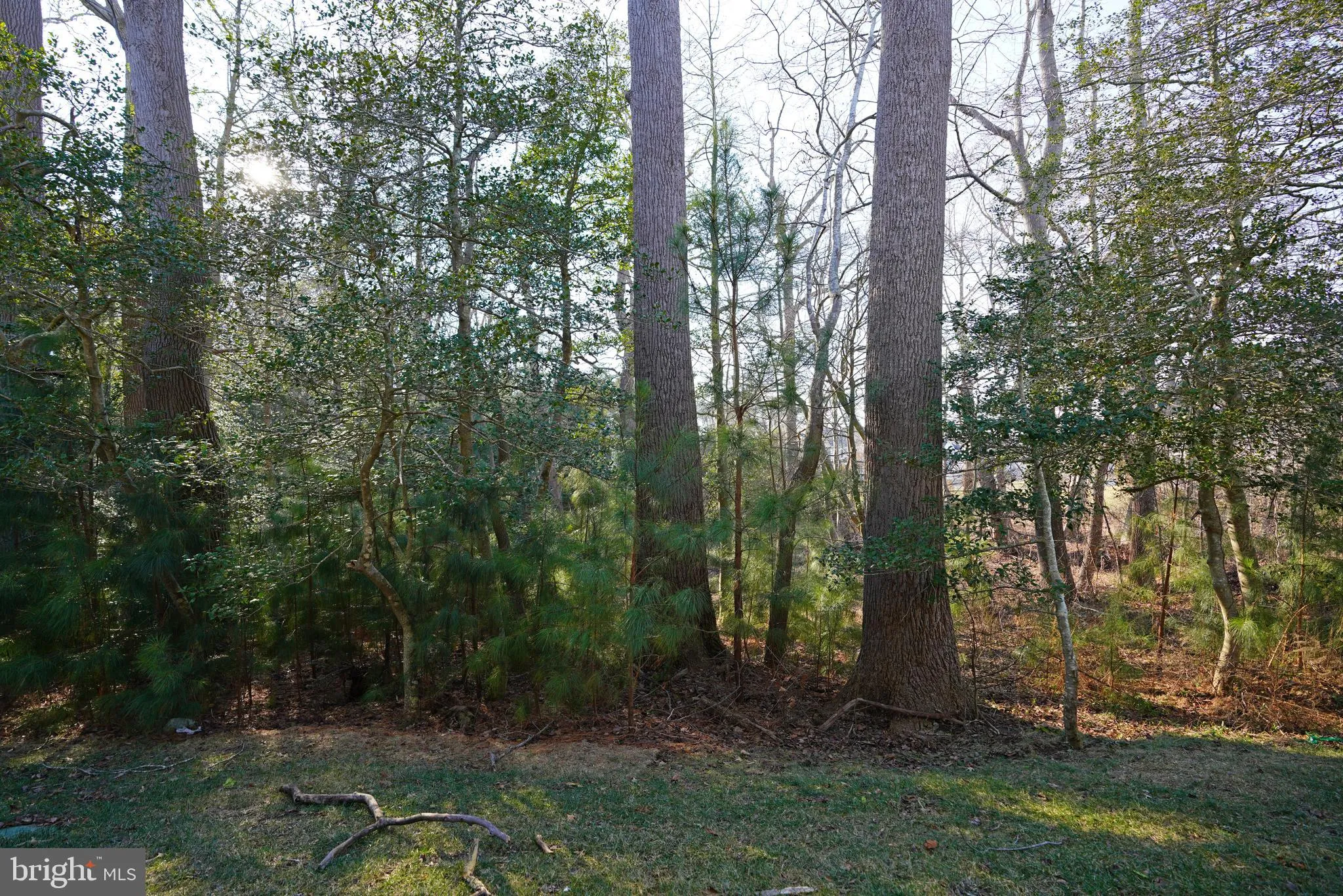 Lewes, Delaware 19958, United States, 4 Bedrooms Bedrooms, ,6 BathroomsBathrooms,Residential,Contingent,4895