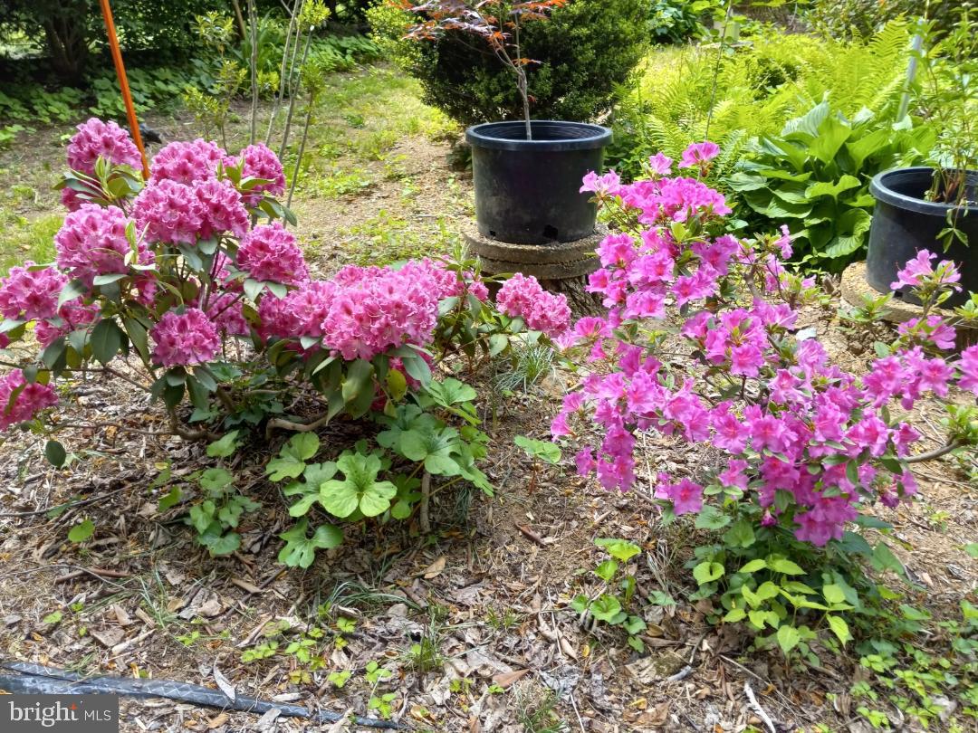 WOODFIELD - Residential