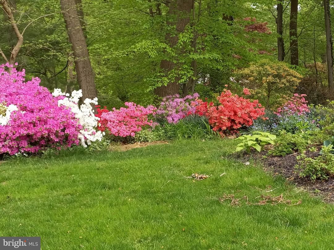 WOODFIELD - Residential