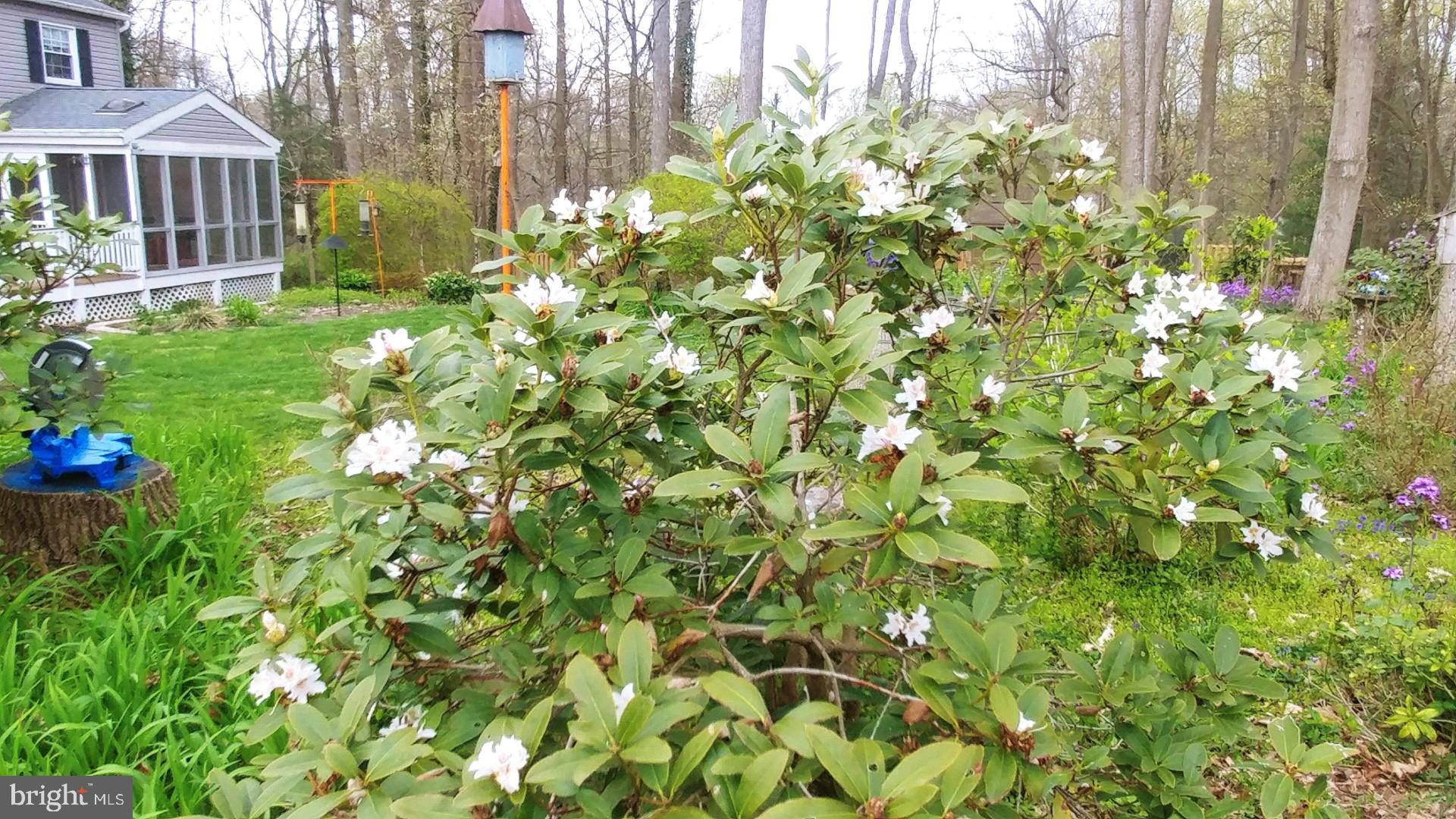 WOODFIELD - Residential