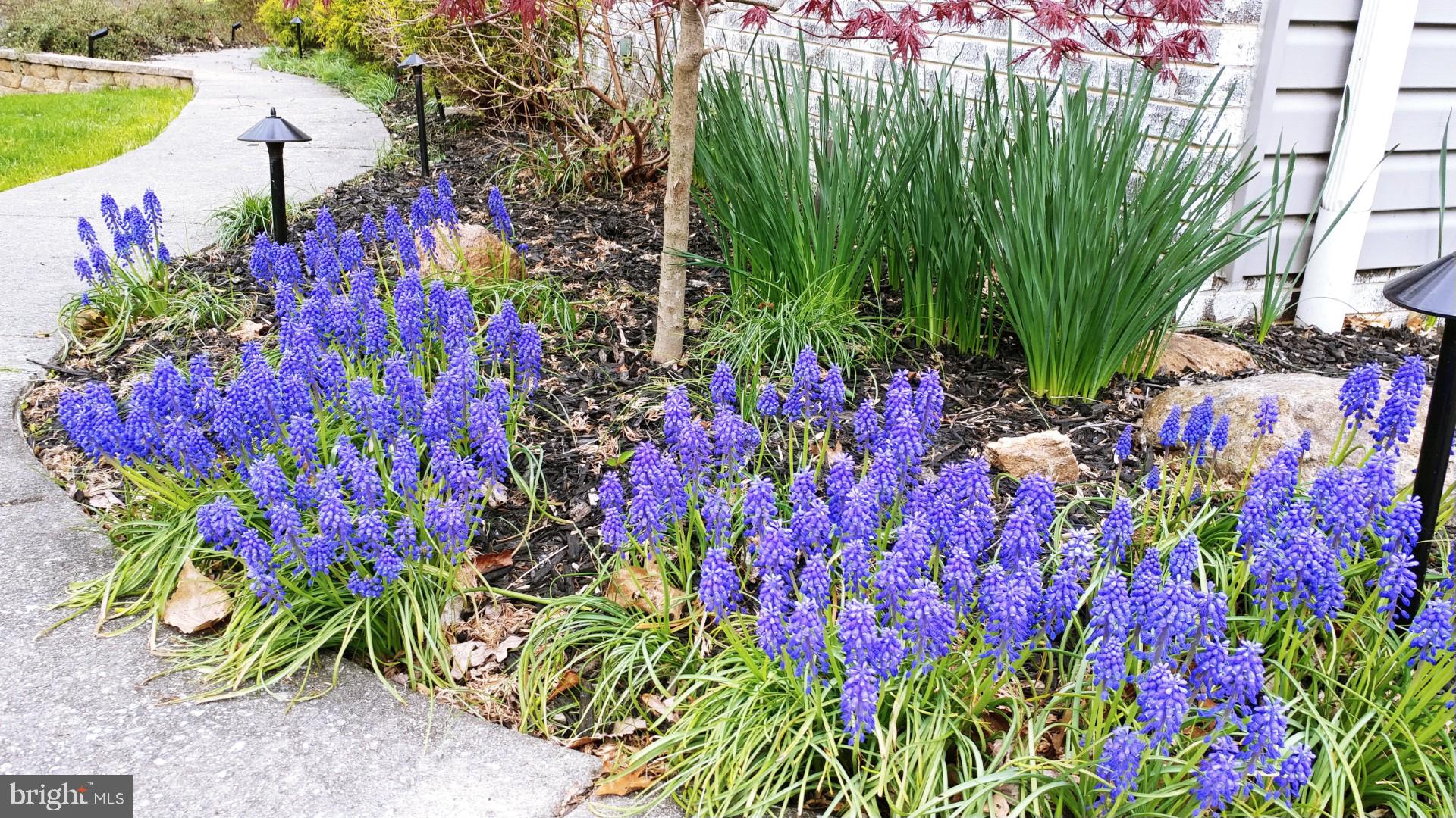 WOODFIELD - Residential