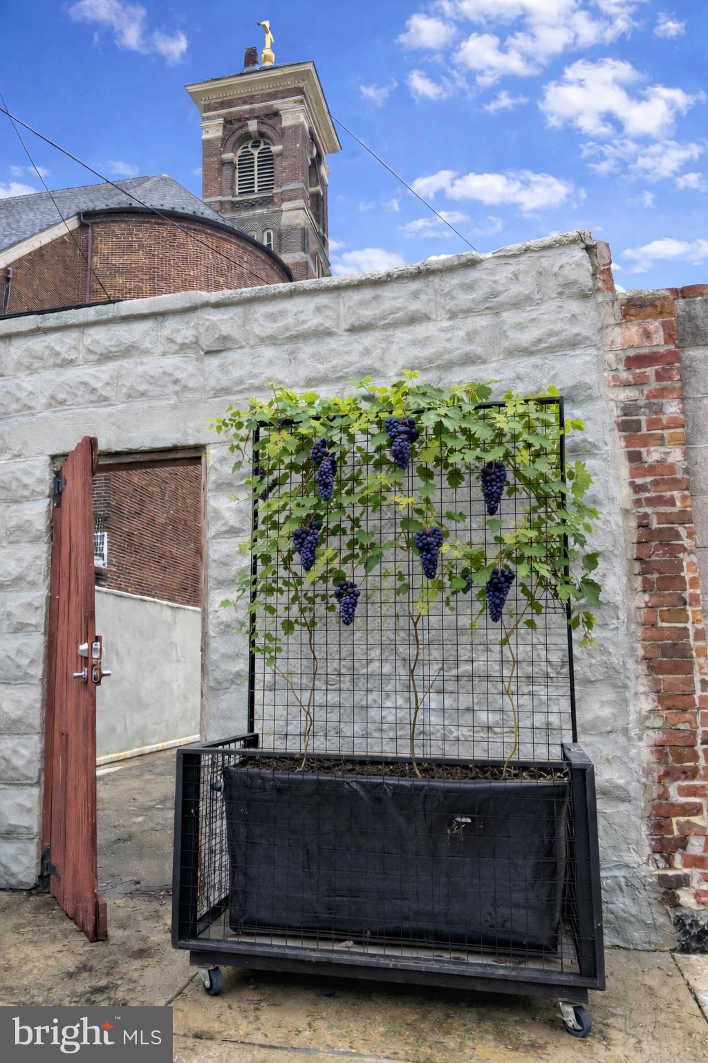 LITTLE ITALY - Residential