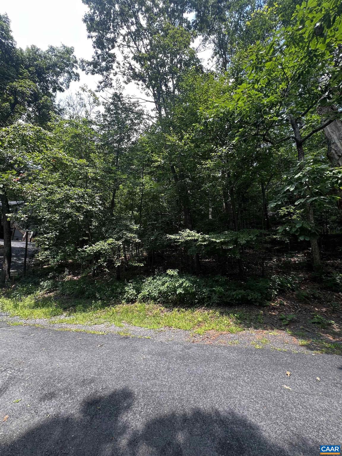 TBD WEEPING ROCK LN 35 LAUREL SPRINGS