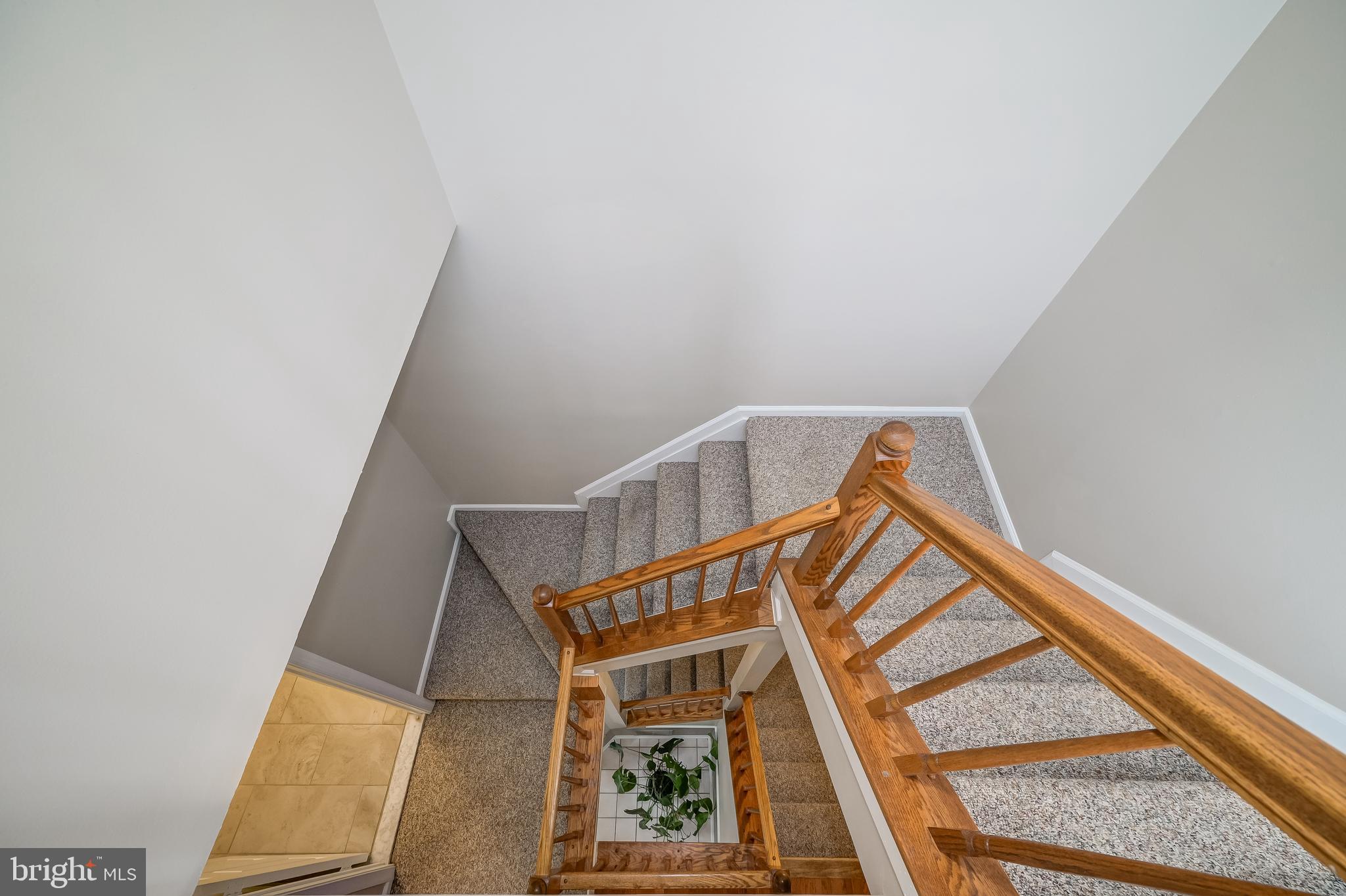 VILLAGE OF DORSEY SEARCH - Residential