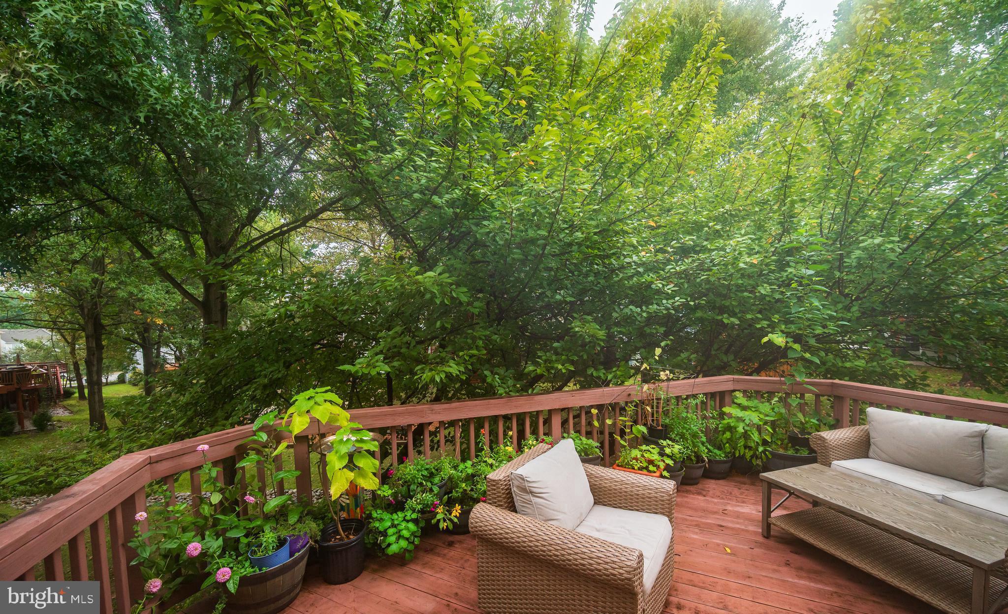 VILLAGE OF DORSEY SEARCH - Residential