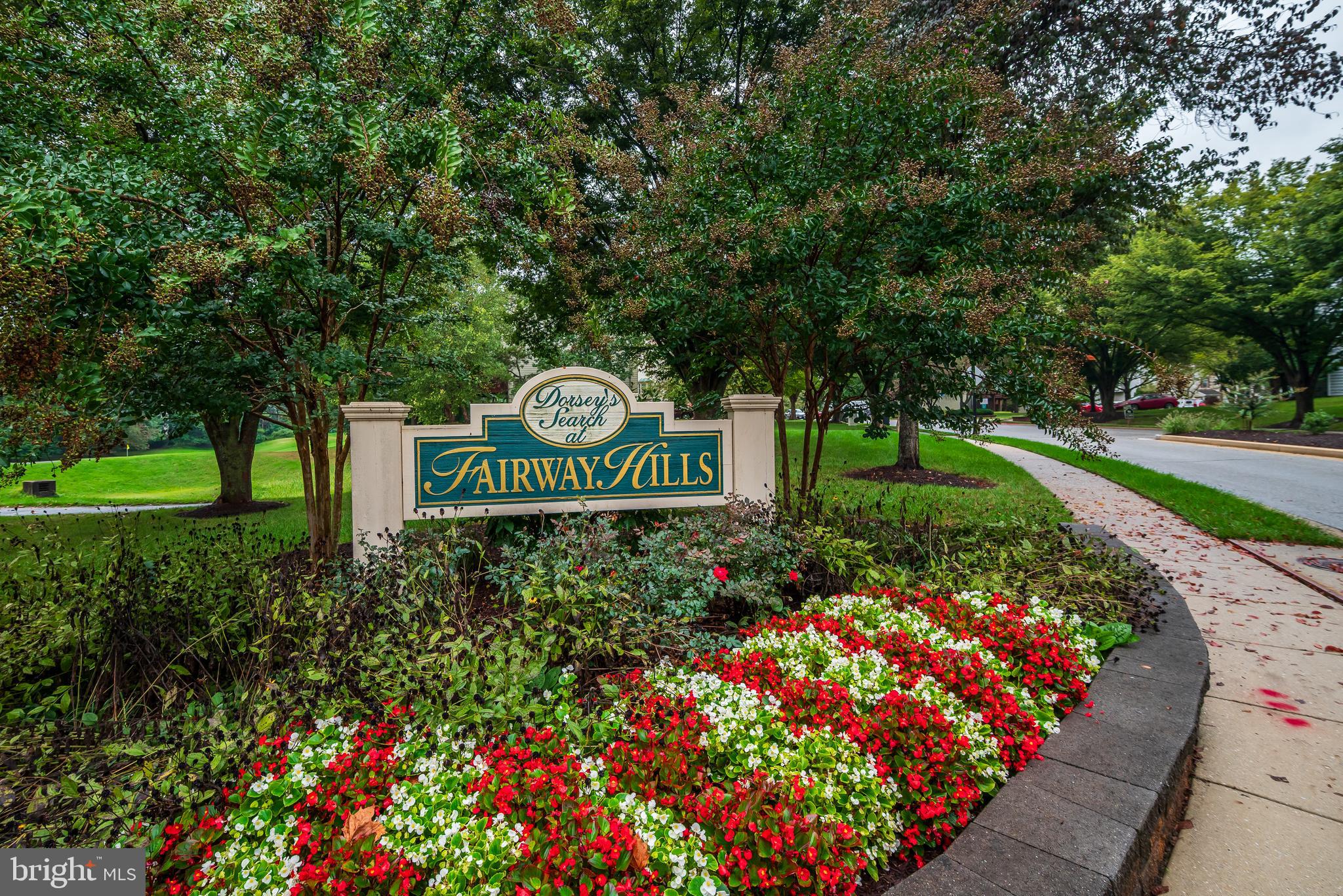 VILLAGE OF DORSEY SEARCH - Residential