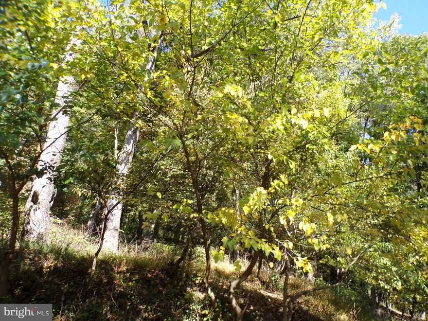 20.88 Acres+- within the City Limits of Cumberland.  Priced to Sell!!!  The access to the land is Bedford Street to High Bedford Street to Right on Hill Street.  See Attached Tax Map.       Third Party Approval Addendum Required with offers.