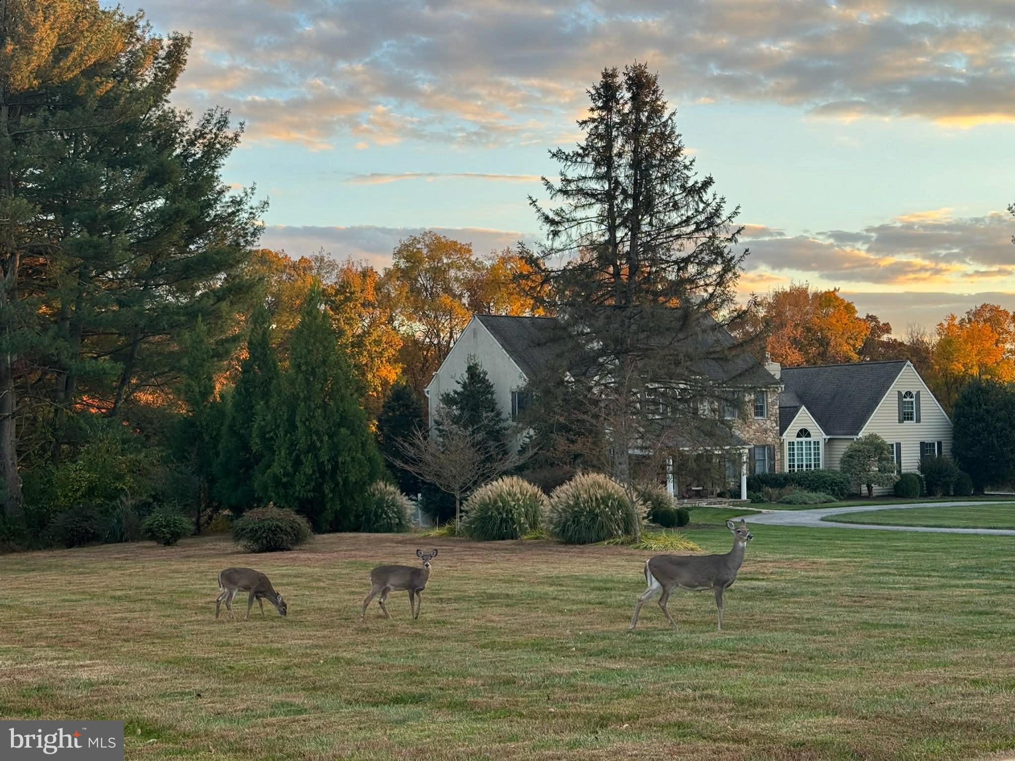 ROUNDELAY - Residential