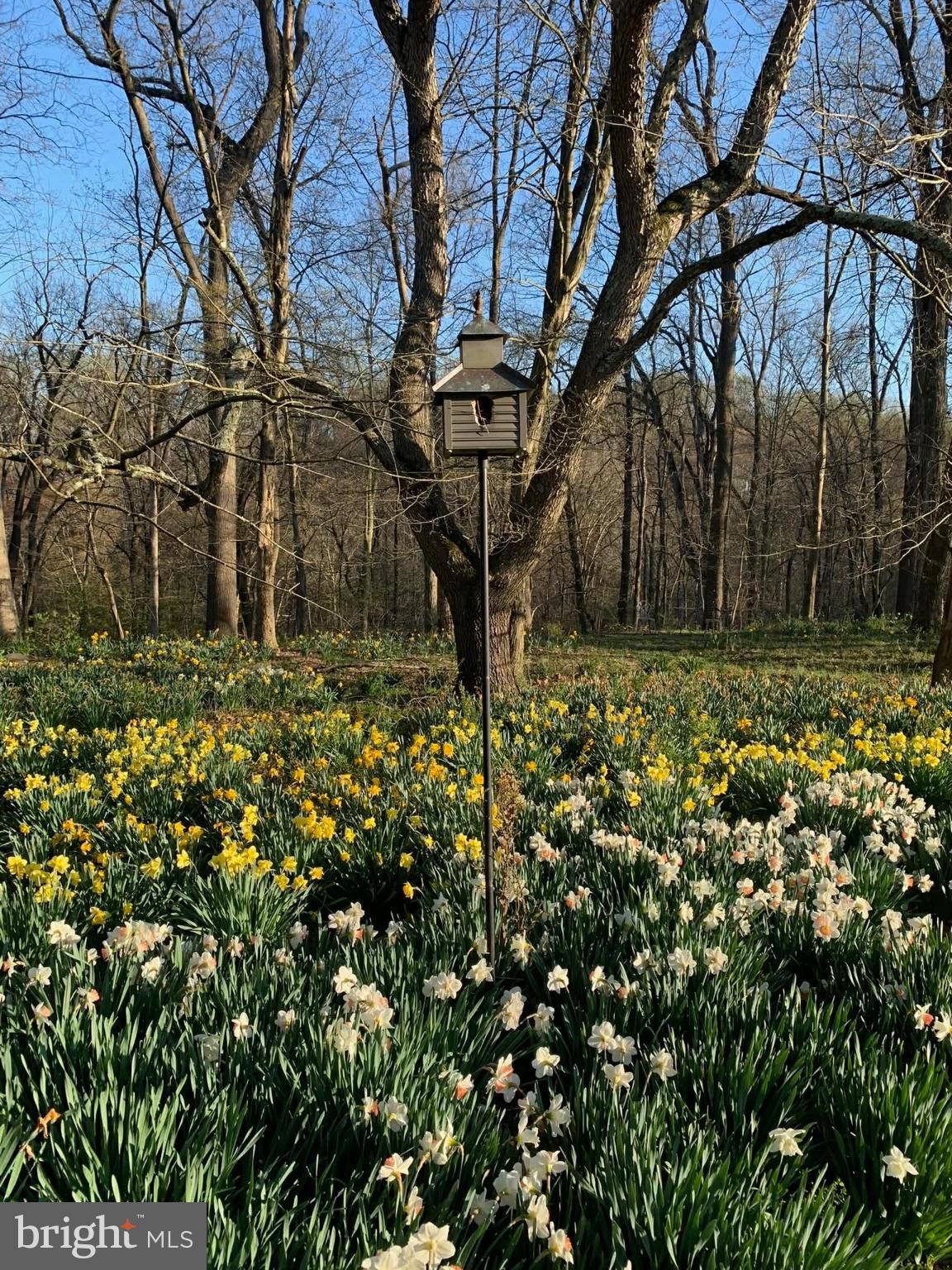 ROUNDELAY - Residential