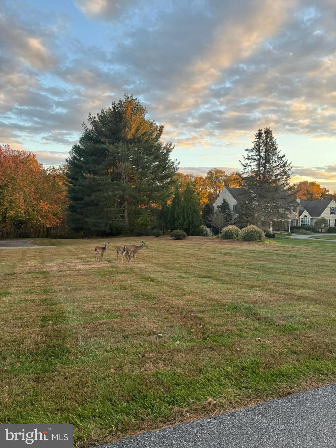 ROUNDELAY - Residential