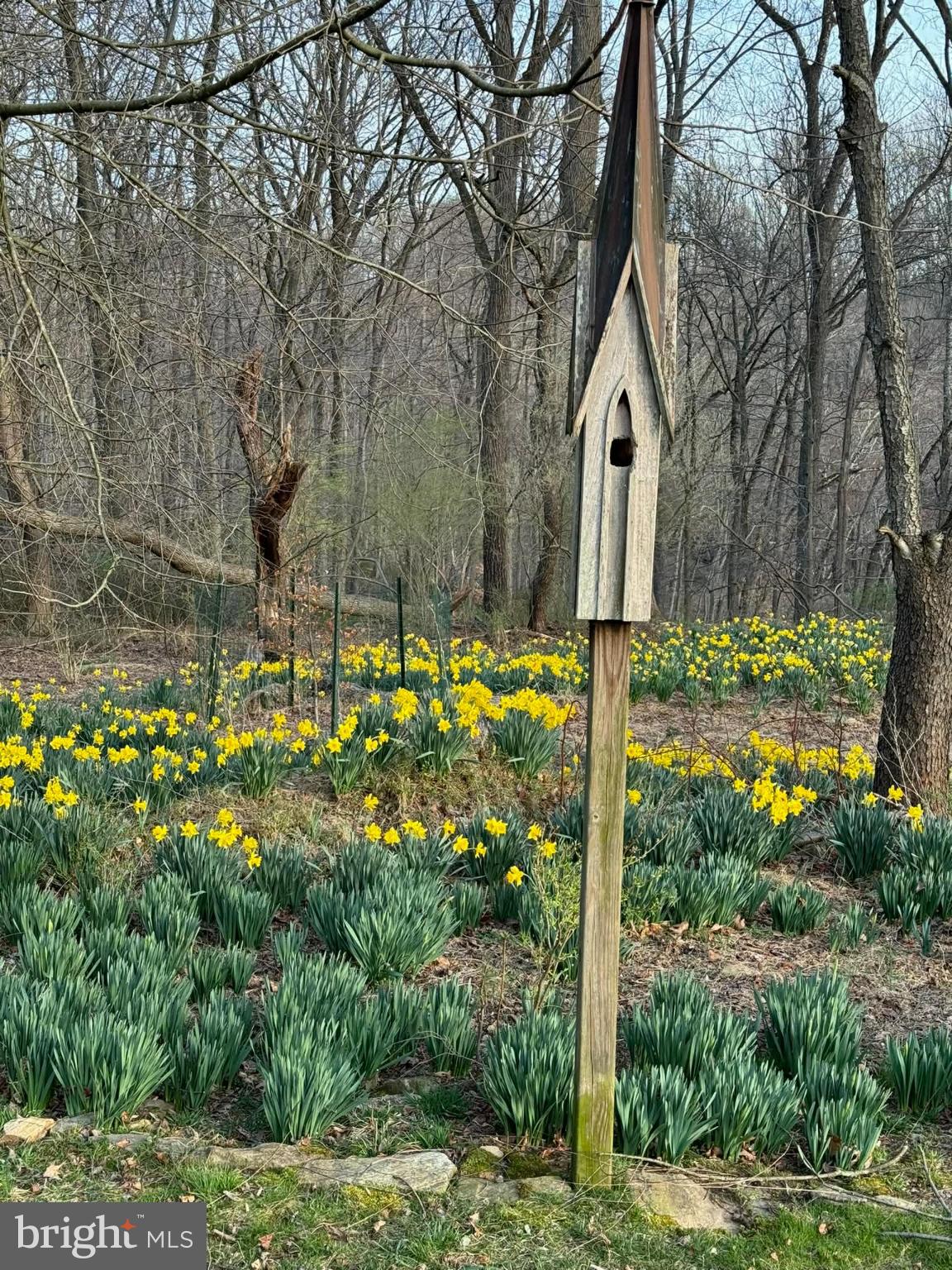 ROUNDELAY - Residential