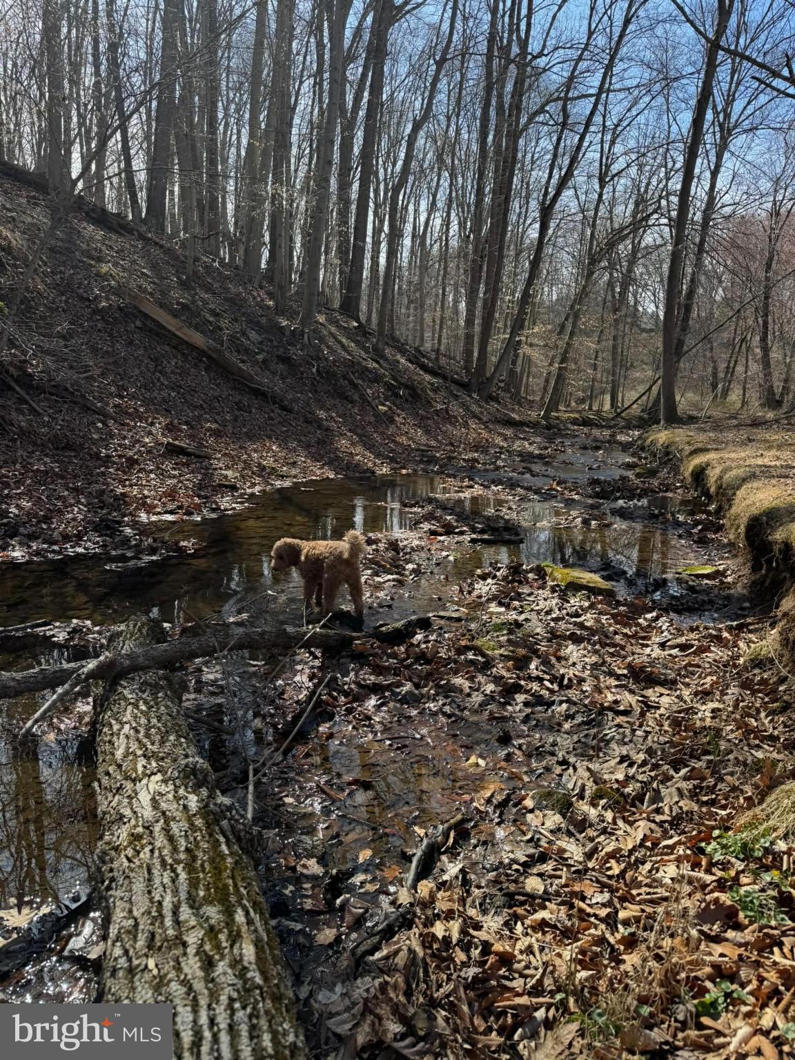 ROUNDELAY - Residential