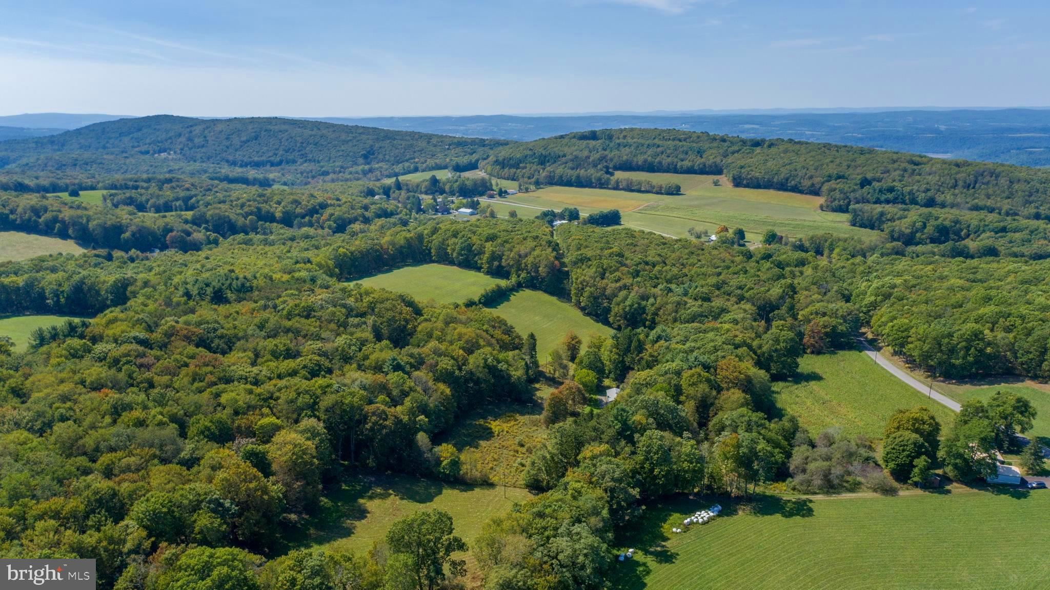 Very rare offering of 25 acres in the Cove area of Accident, MD, 15 minutes from Deep Creek Lake and 10 minutes from Interstate 68. This property is complete with an old orchard with apple, pear, and apricot trees gently sloping down to a meandering creek with a bridge and leading to a well built pole building, a level pasture area then up a hill complete with wooded paths and upper fields. The property spans both sides of Cove road and the residence is located on the Northern side. The home and garage need some TLC and are being sold as is but the property is incredible. The well is fed by an incredible underground spring with new pump.