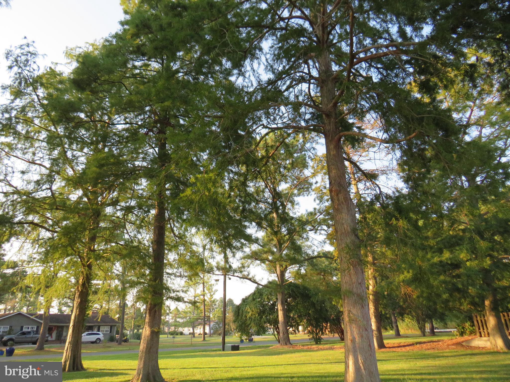 HEARTS EASE - Residential