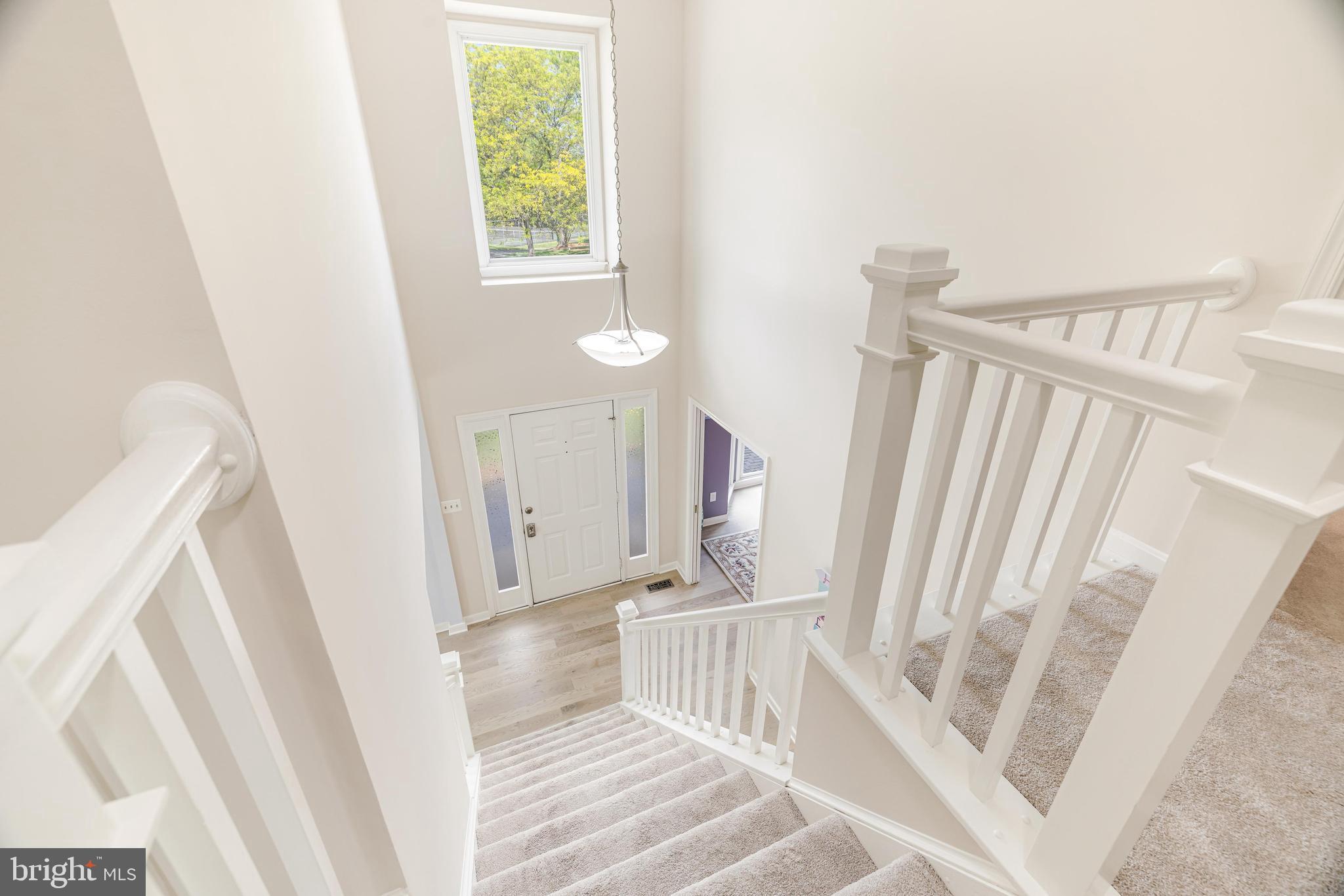 HASTINGS HUNT - Residential