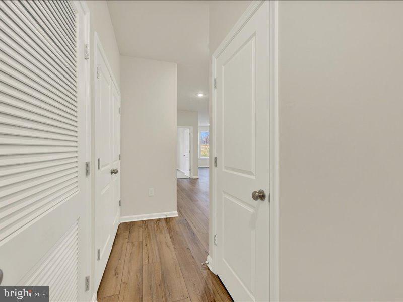 4001 SEASIDE ALDER ROAD 11104 - LILY