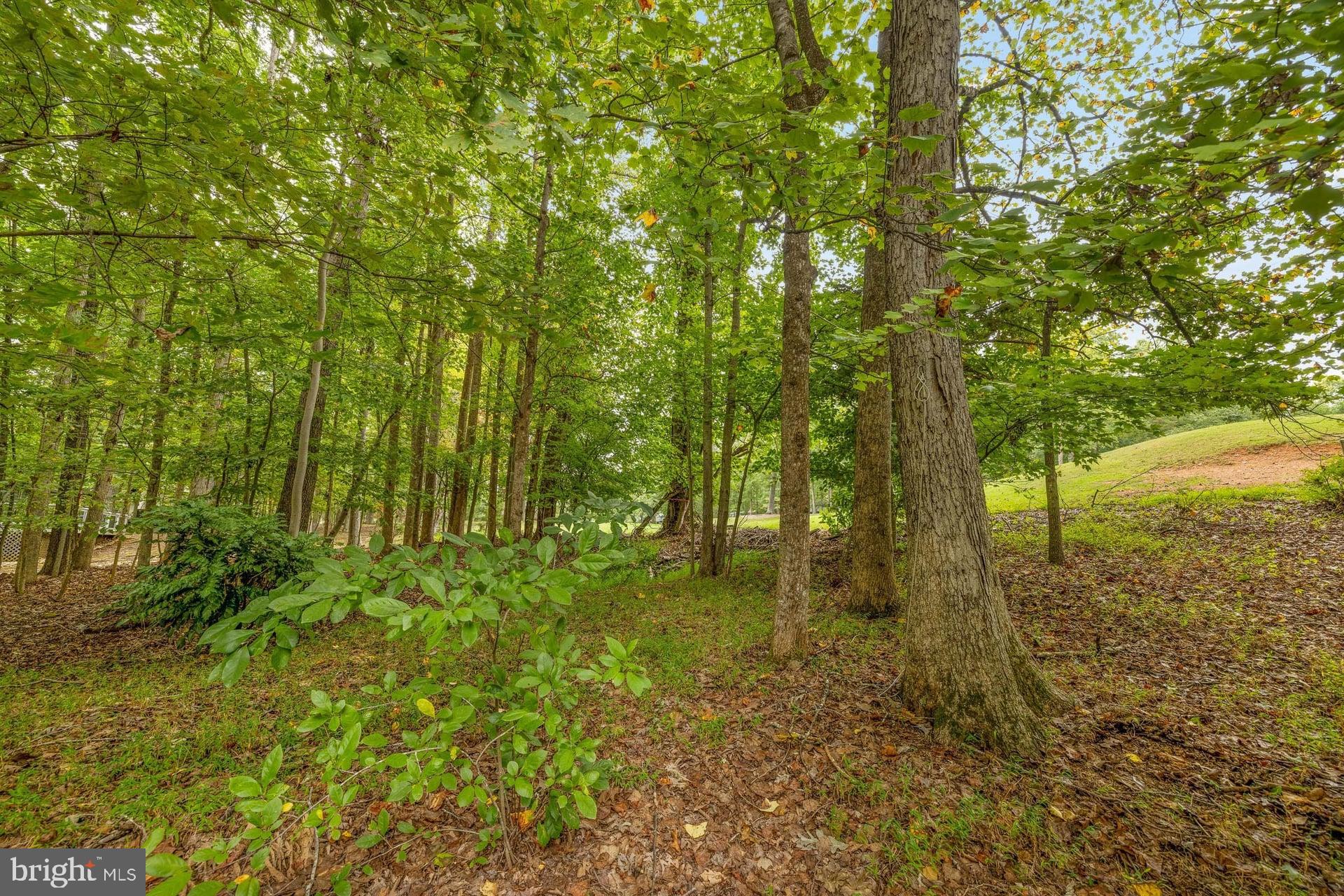 LAKE MONTICELLO - Residential