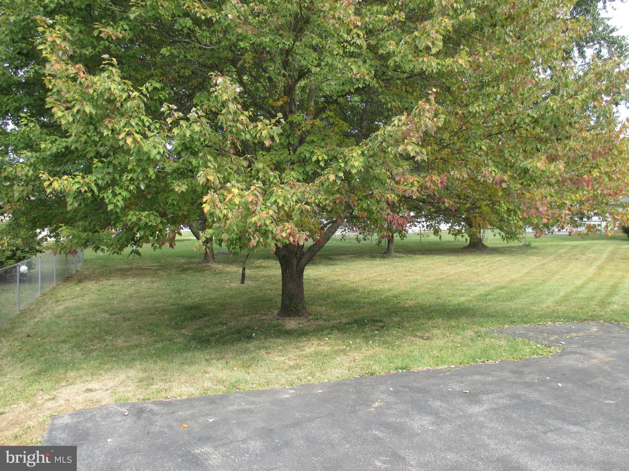 66 WHITE WILLOW COURT