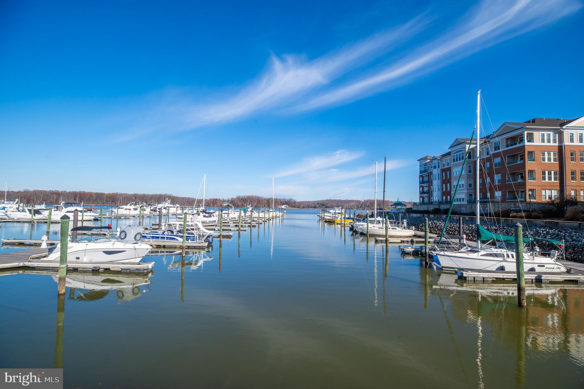 BELMONT BAY - Residential Lease